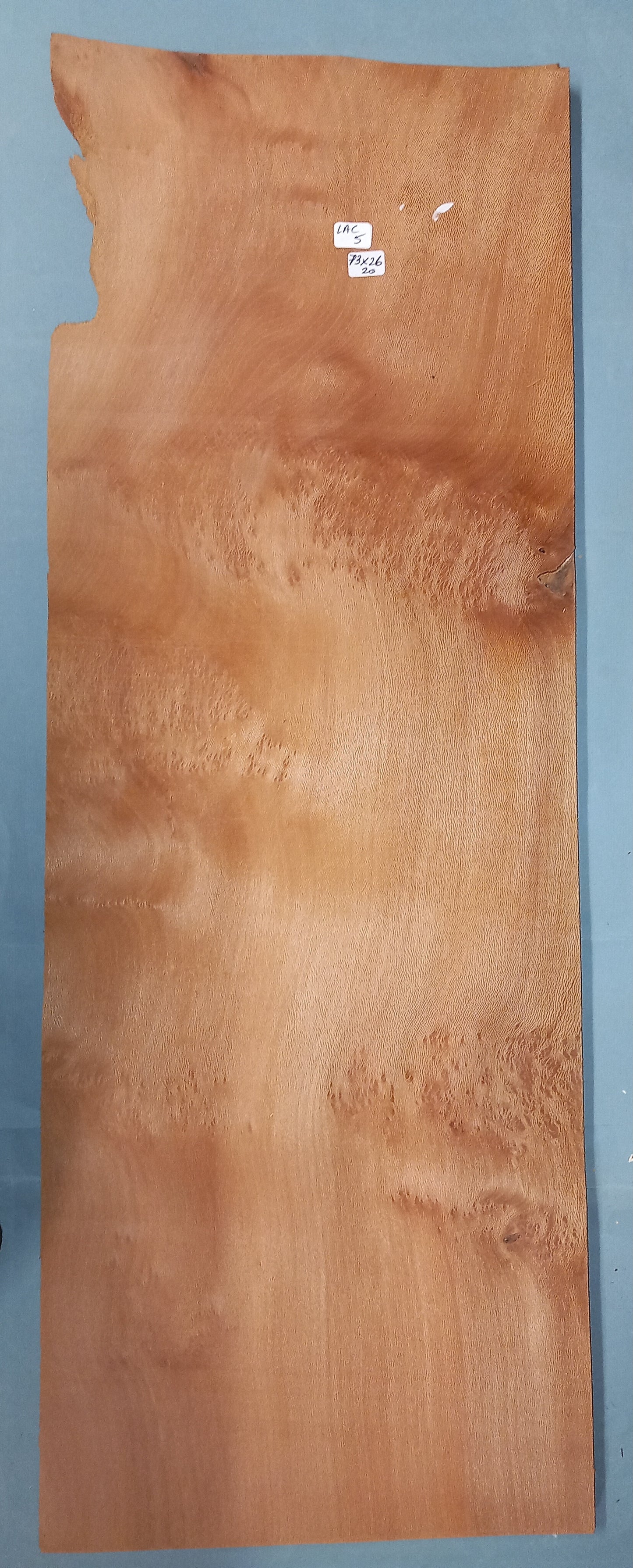 LARGE CONSECUTIVE SHEETS OF LACEWOOD CLUSTER VENEER 73 X 26 CM