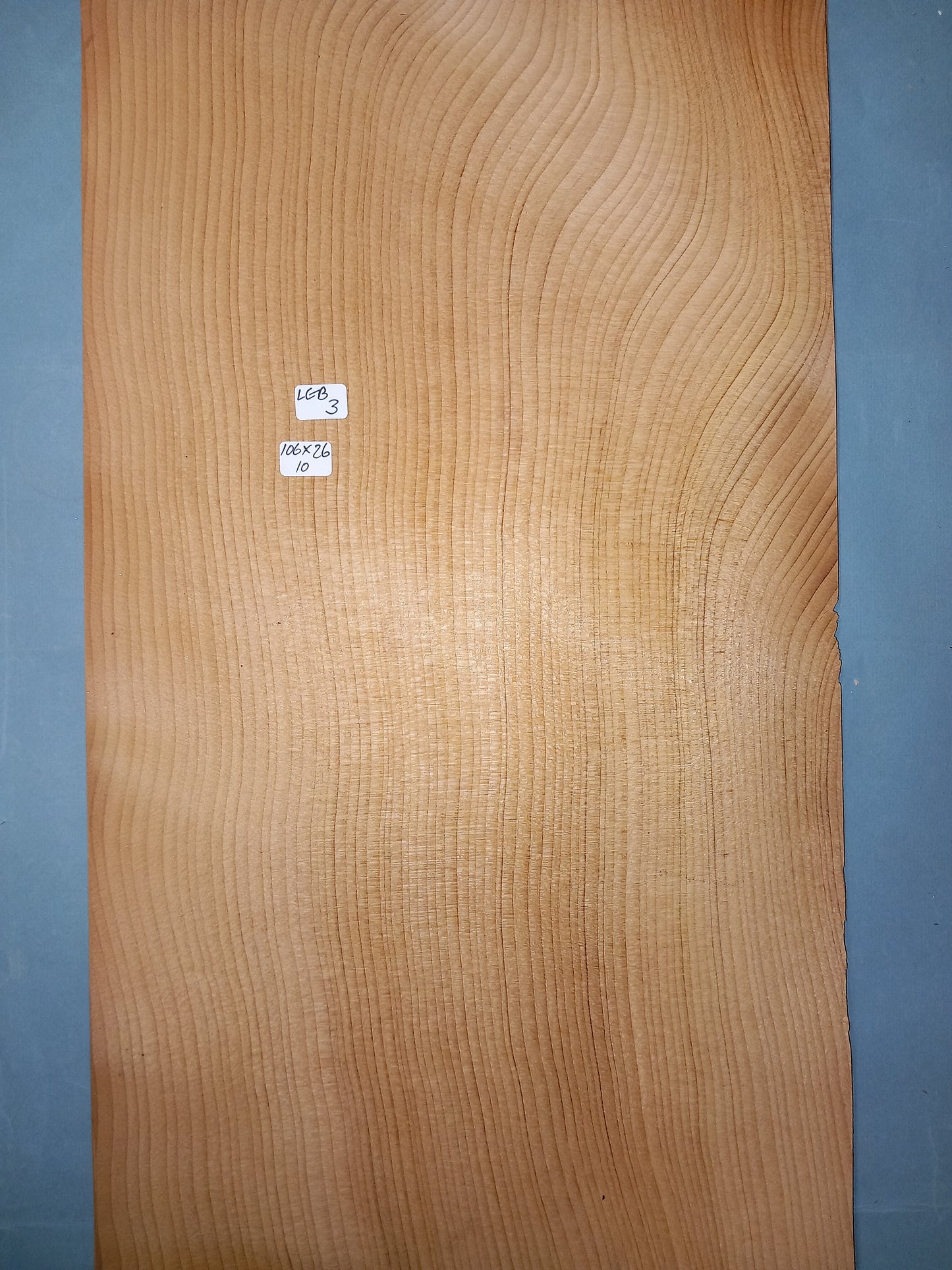 LARGE CONSECUTIVE SHEETS OF LEBANESE CEDAR VENEER 106 X 26 CM