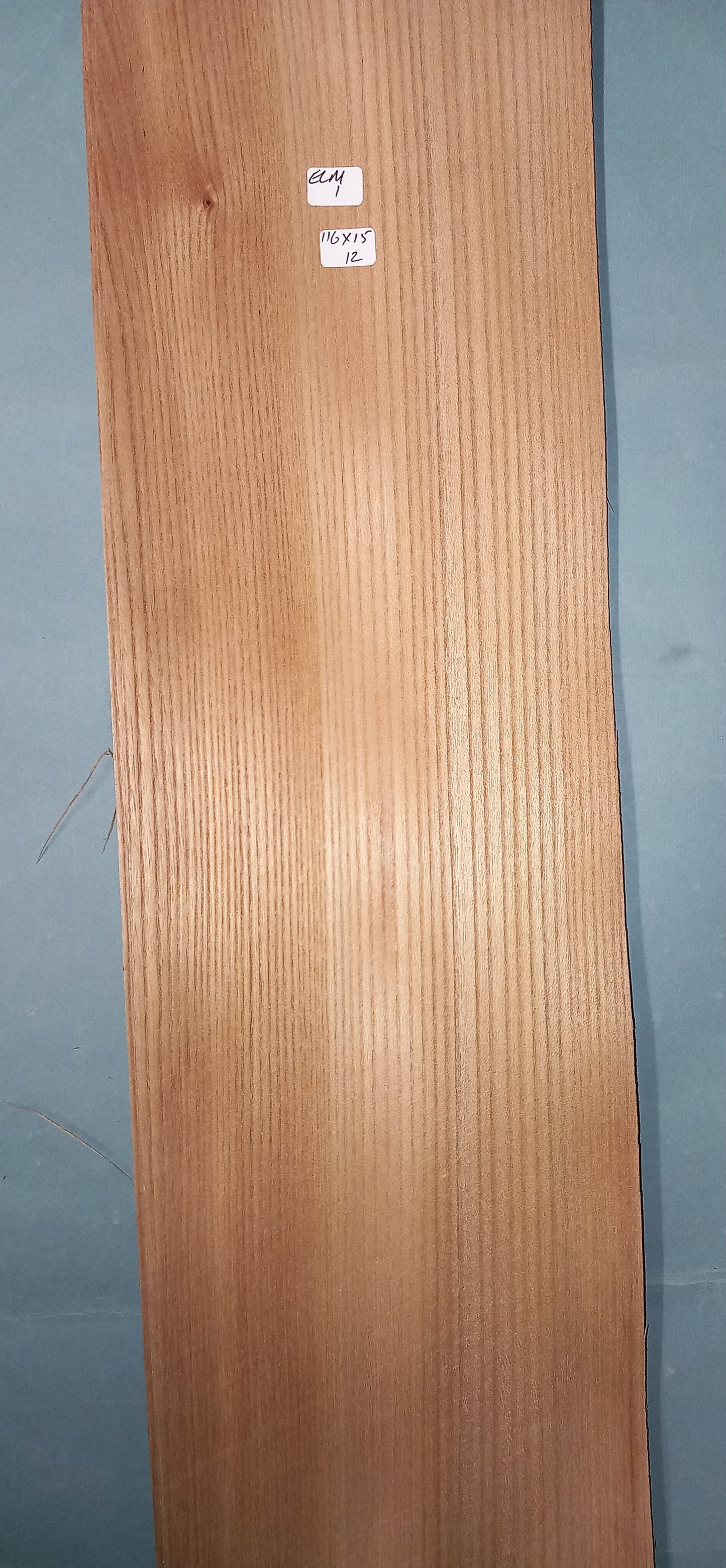 LARGE CONSECUTIVE SHEETS OF ELM VENEER 116 X 15 CM