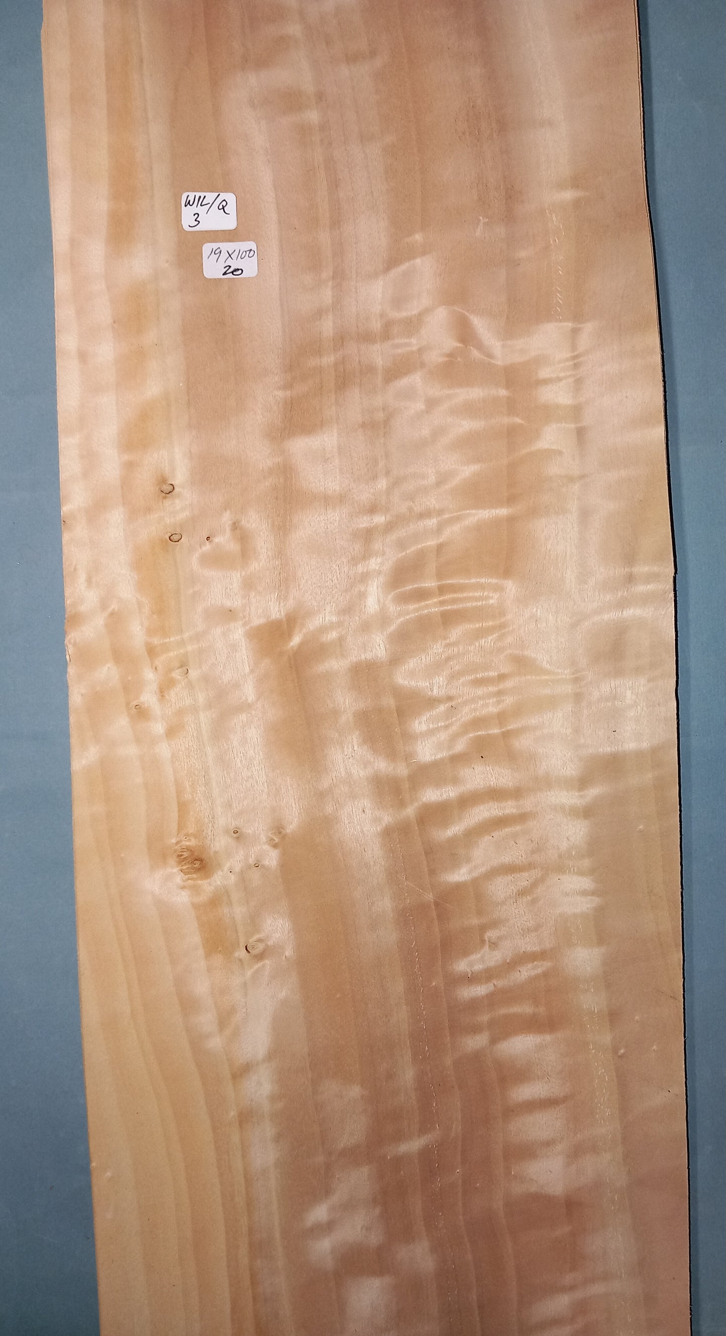 LARGE CONSECUTIVE SHEETS OF QUILTED WILLOW VENEER 100 X 19 CM