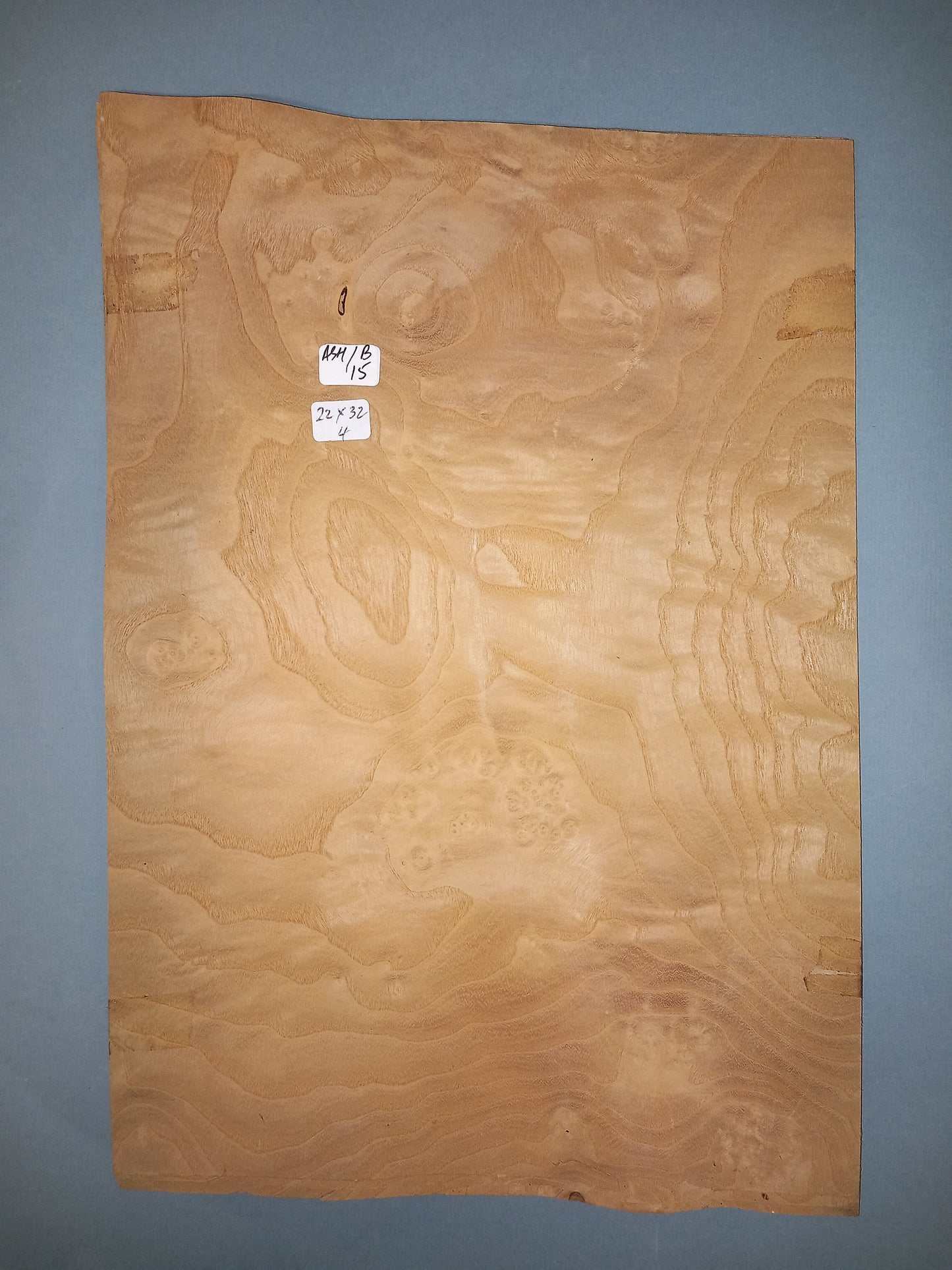 ASH BURR - 1 CONSECUTIVE SHEET 22x32cm