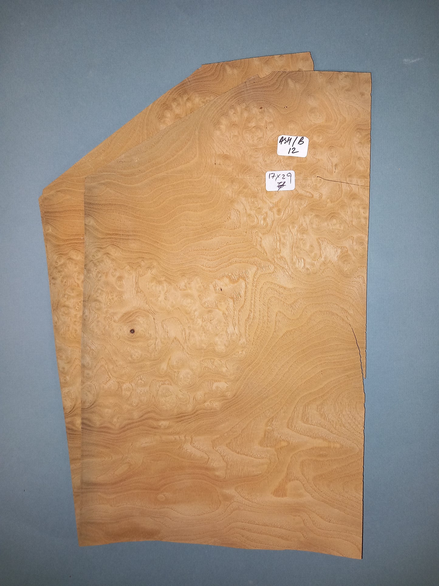2 CONSECUTIVE SHEETS OF ASH BURR VENEER 17 X 29 CM