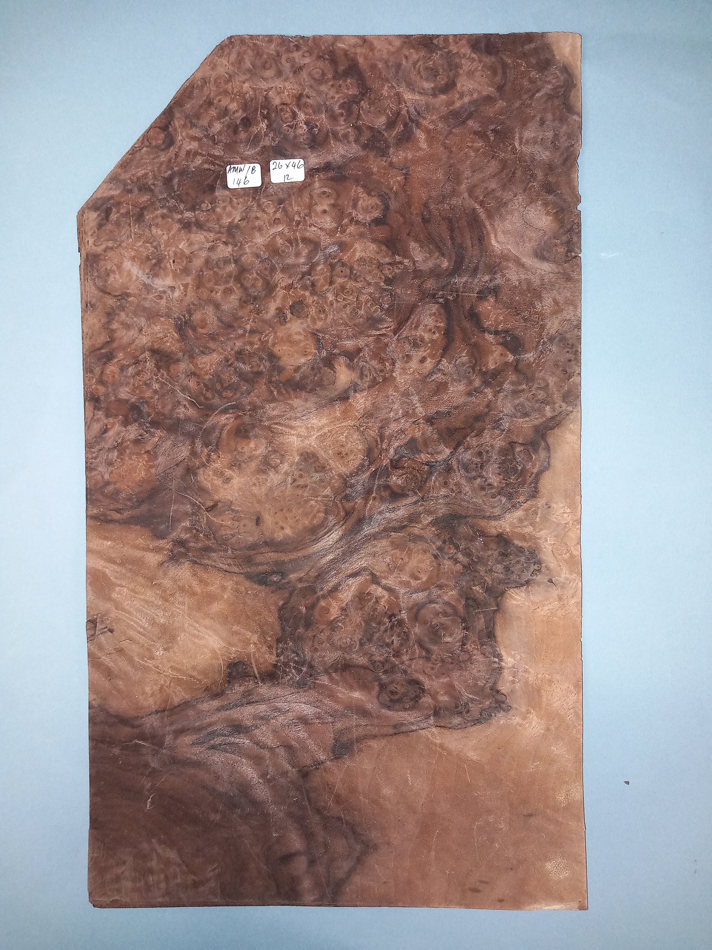 CONSECUTIVE SHEETS OF AMERICAN WALNUT BURR VENEER 26 X 46 CM