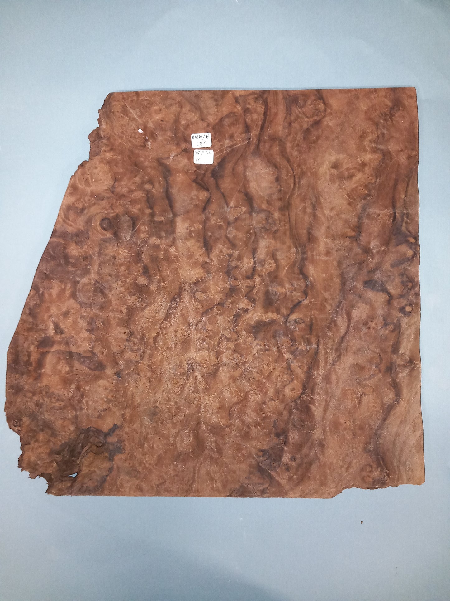 CONSECUTIVE SHEETS OF AMERICAN WALNUT BURR VENEER 34 X 30 CM