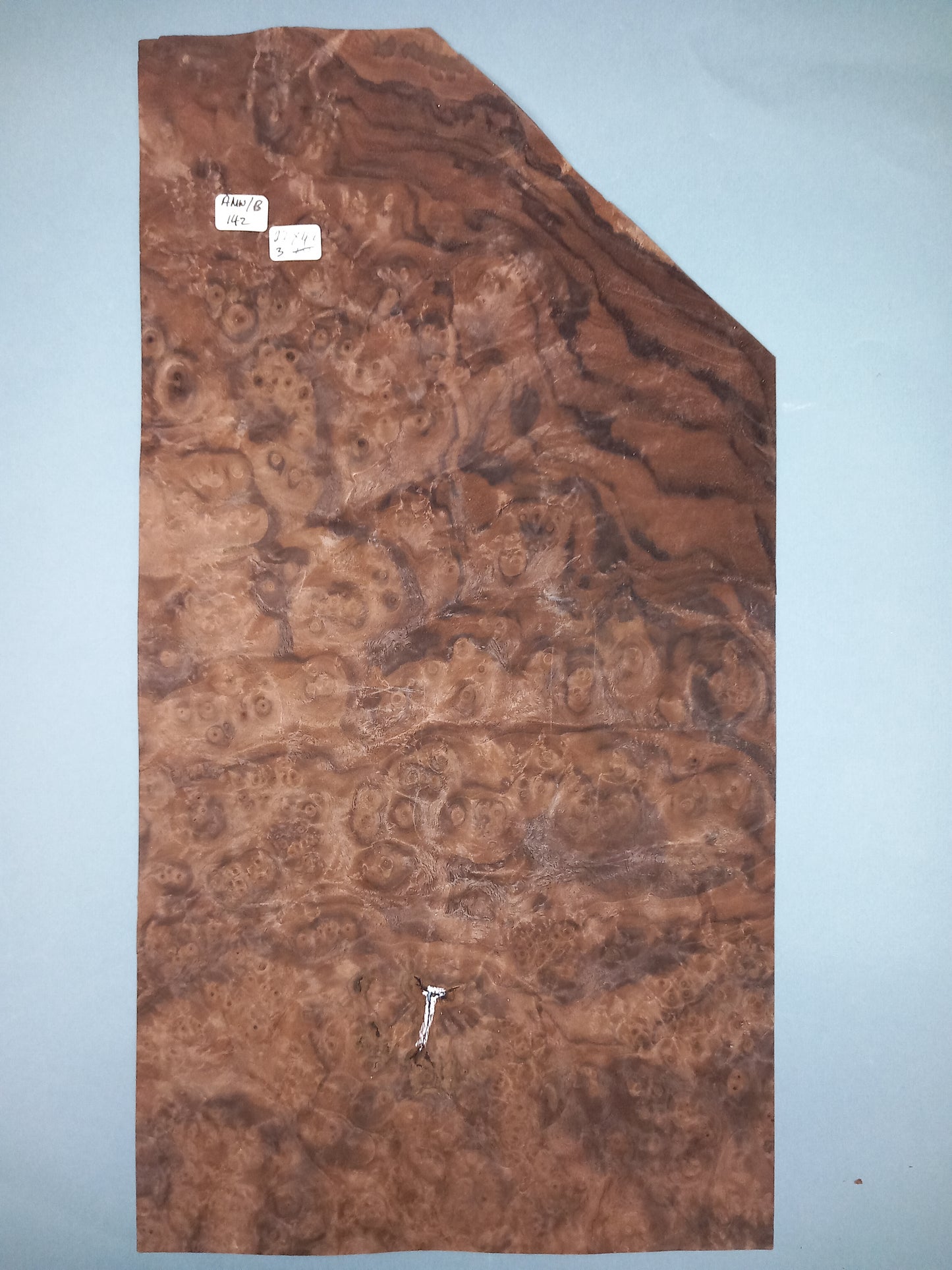 CONSECUTIVE SHEETS OF AMERICAN WALNUT BURR VENEER 22 X 41 CM