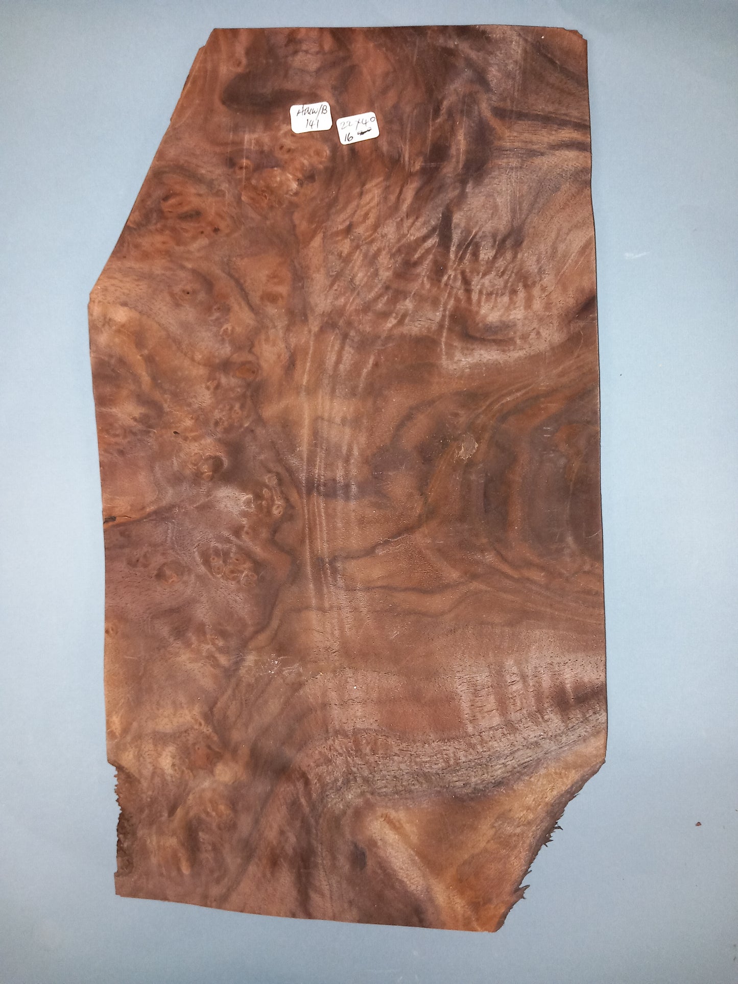 CONSECUTIVE SHEETS OF AMERICAN WALNUT BURR VENEER 22 X 40 CM