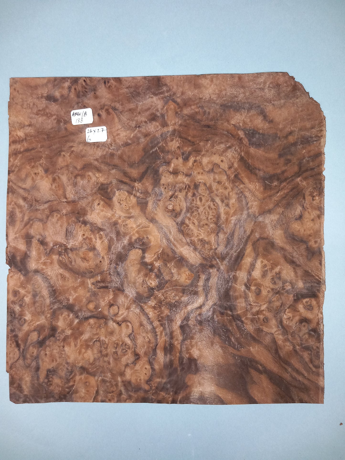 CONSECUTIVE SHEETS OF AMERICAN WALNUT BURR VENEER 26 X 27 CM