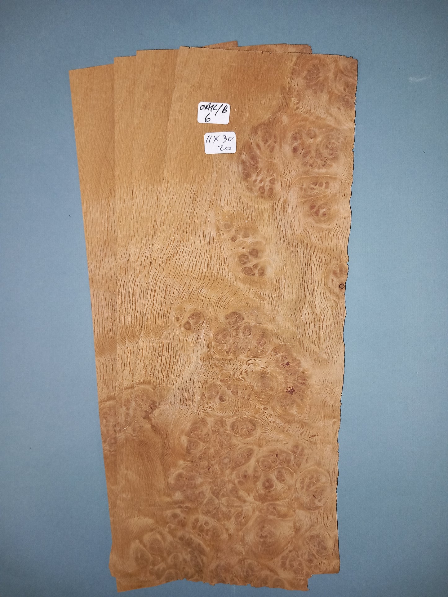 4 CONSECUTIVE SHEETS OF OAK BURR VENEER 11 X 30 CM