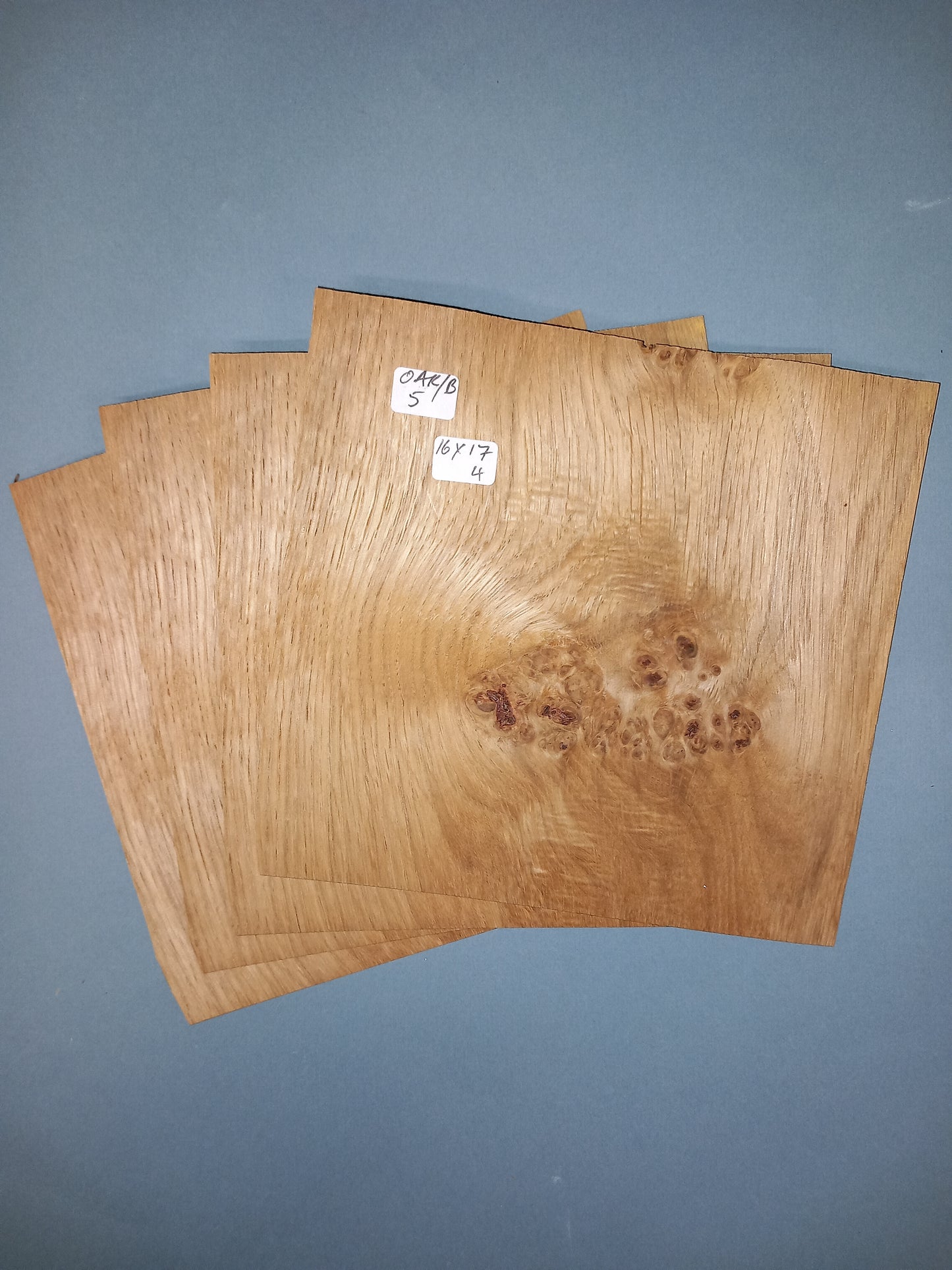 4 CONSECUTIVE SHEETS OF OAK BURR VENEER 16 X 17 CM