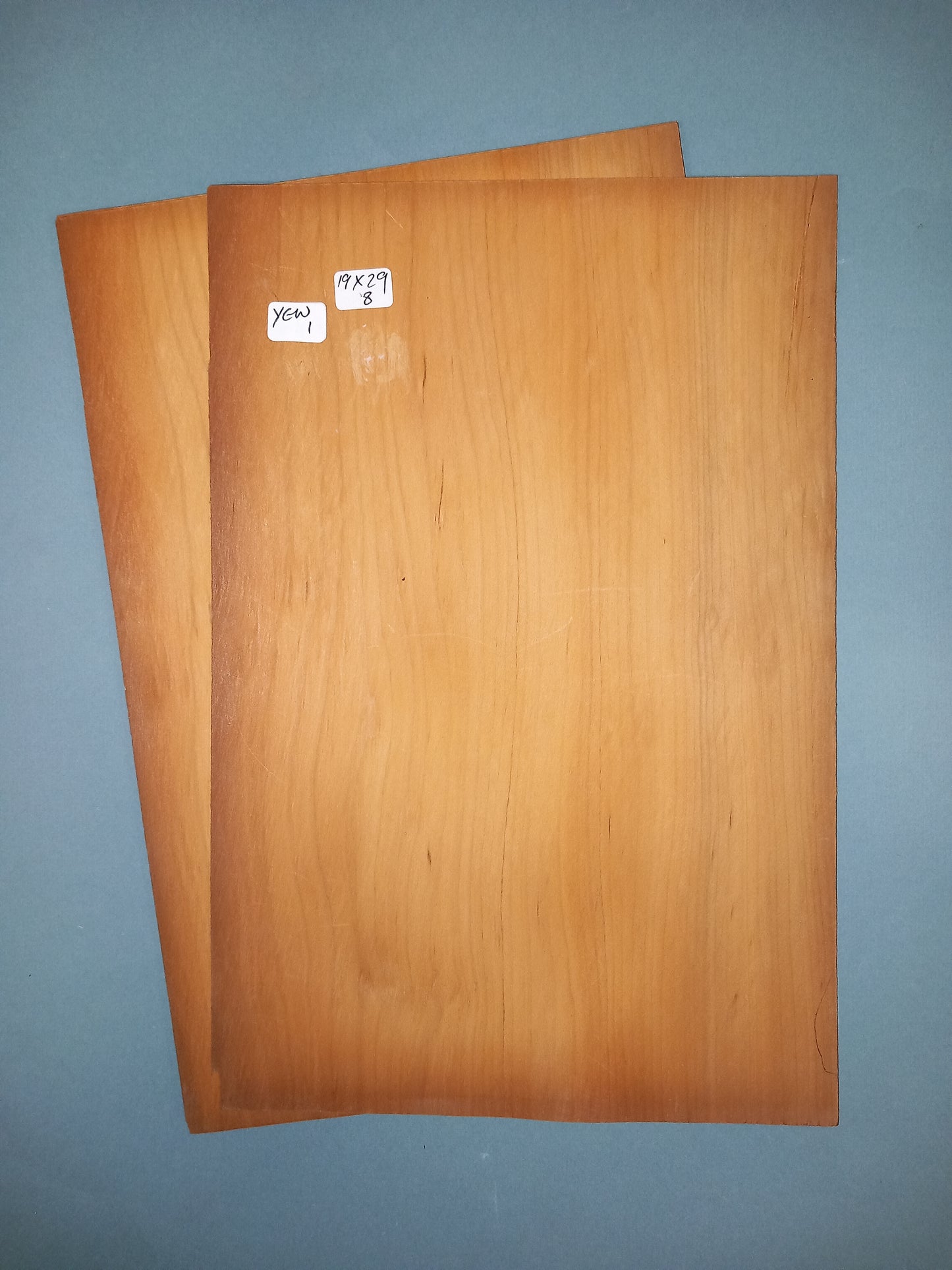 YEW - 2 CONSECUTIVE SHEETS 19x29cm