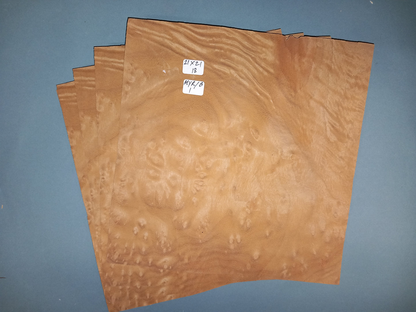 MYRTLE BURR - 4 CONSECUTIVE SHEETS 21x21cm