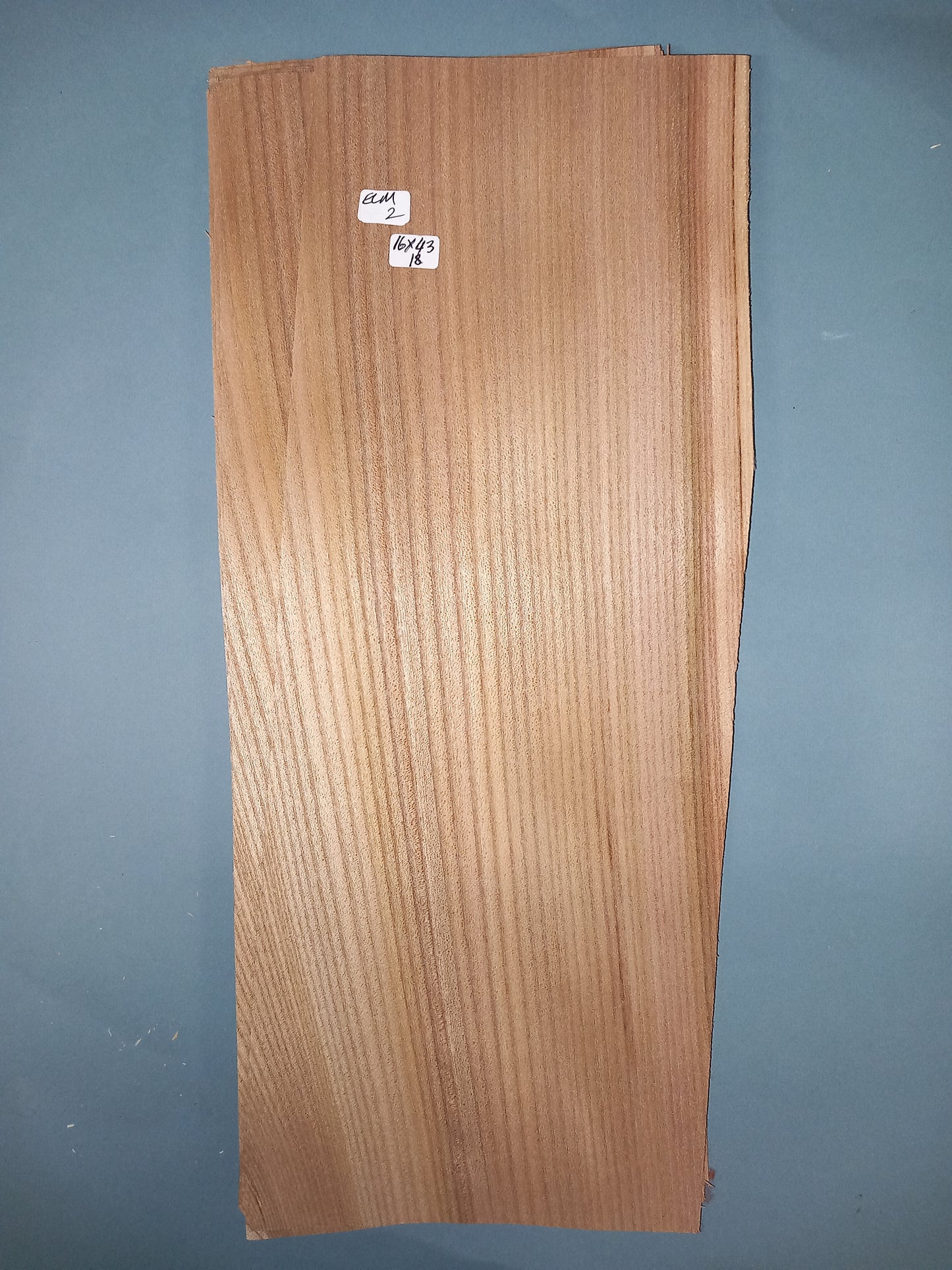2 CONSECUTIVE SHEETS OF ELM VENEER 16 X 43 CM