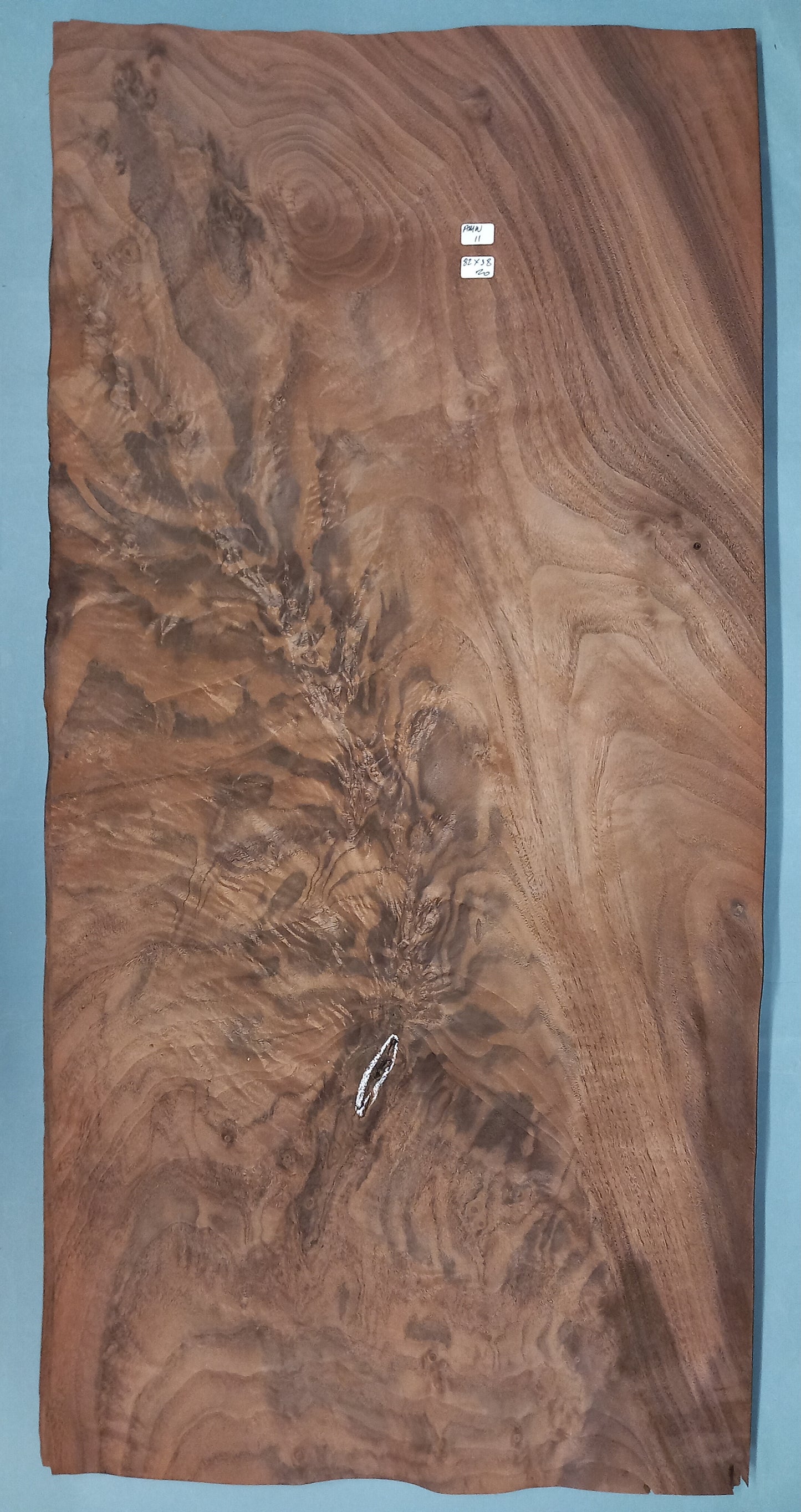 LARGE CONSECUTIVE SHEETS OF AMERICAN WALNUT VENEER 82 X 38 CM