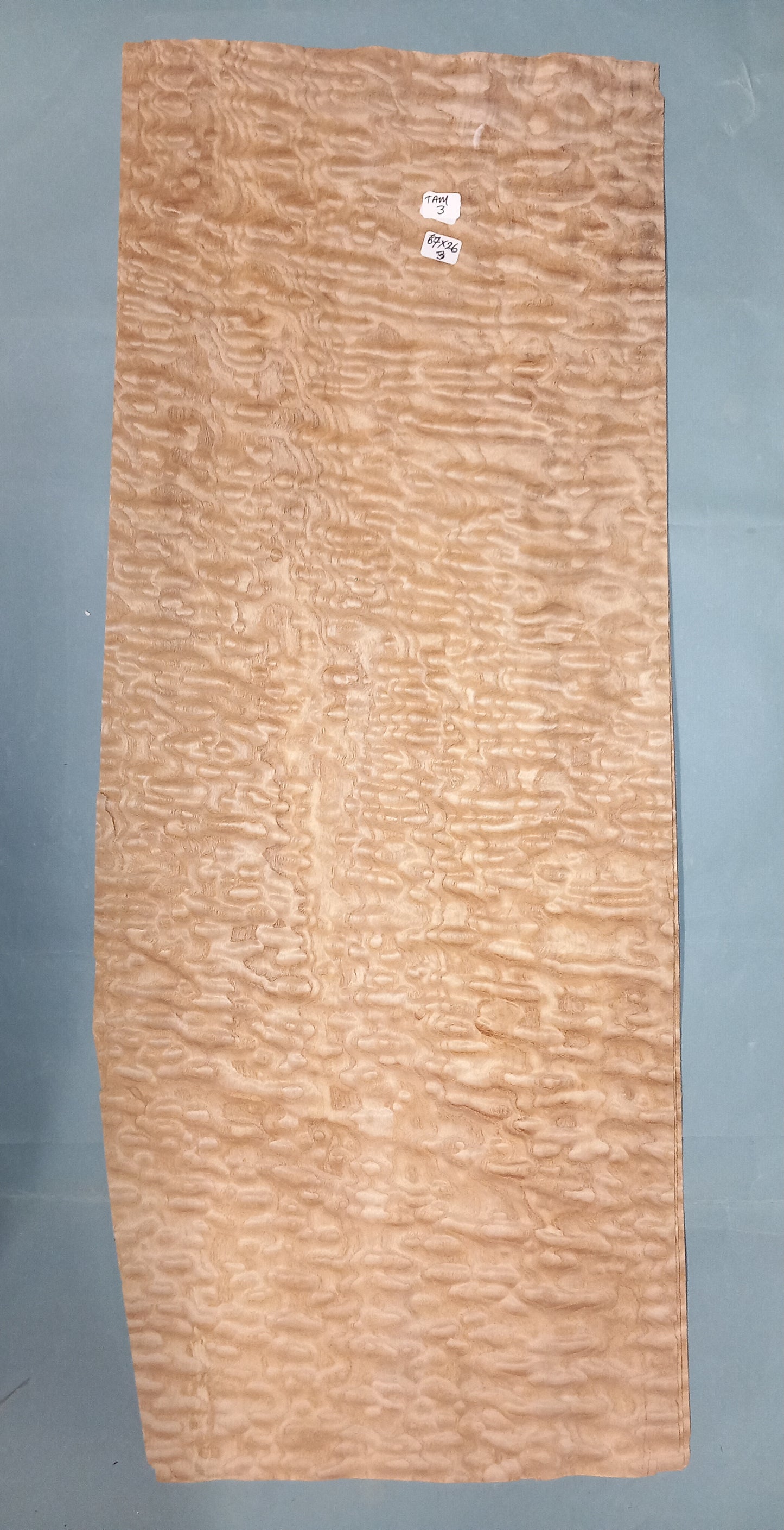 TAMO ASH - 1 CONSECUTIVE SHEET 26x67cm