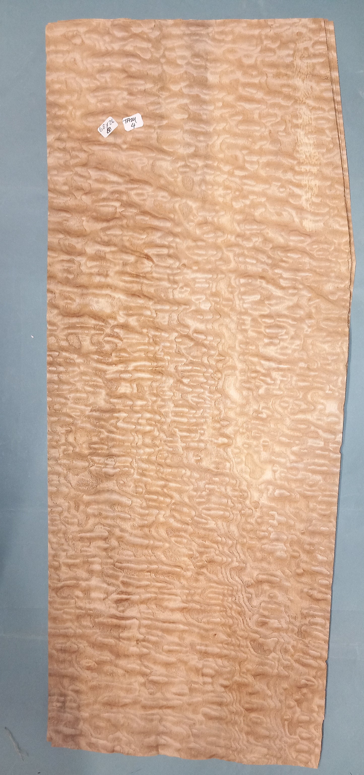 TAMO ASH - 1 CONSECUTIVE SHEET 26x68cm