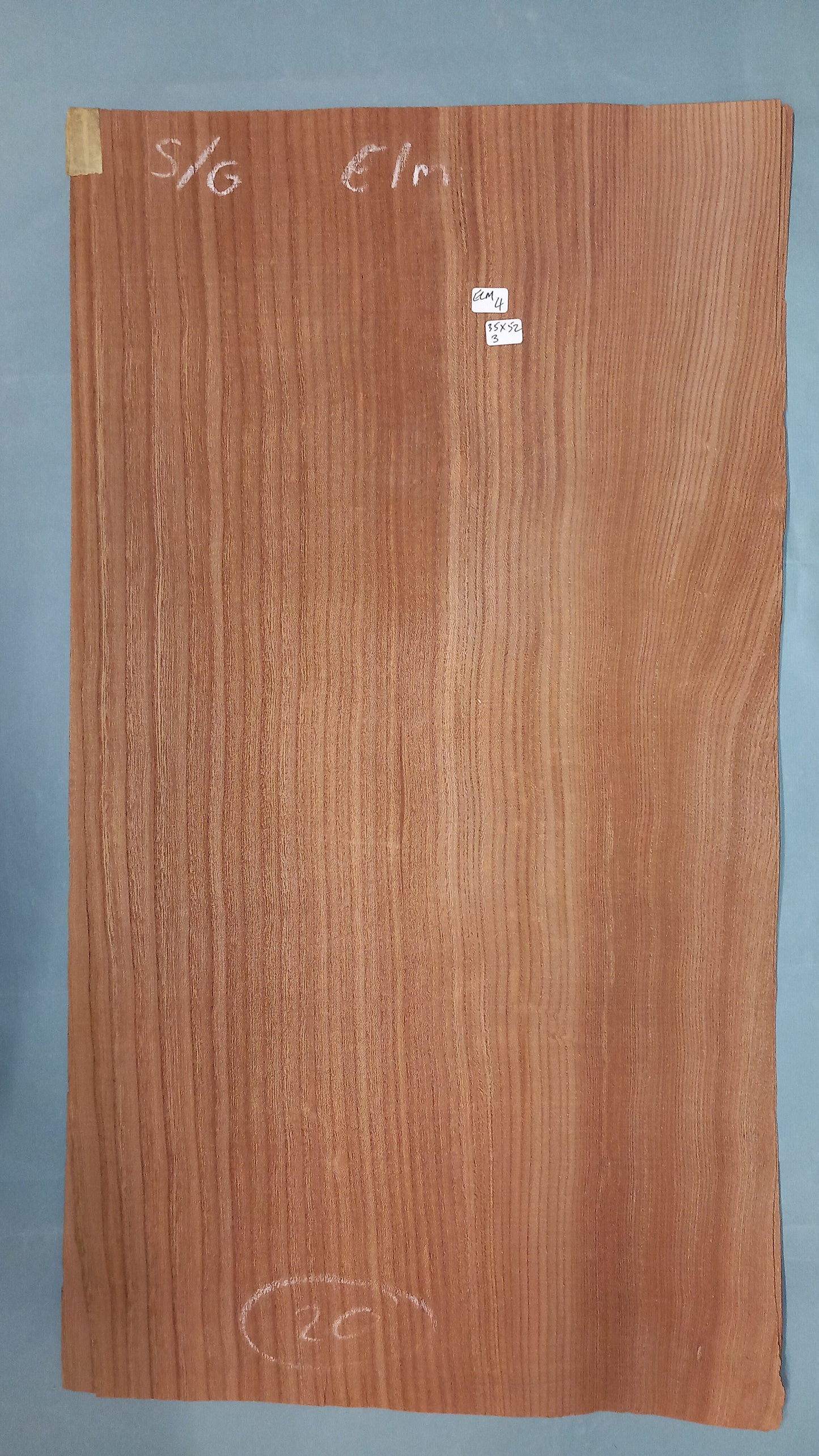 LARGE CONSECUTIVE SHEETS OF ELM VENEER 35 X 52 CM