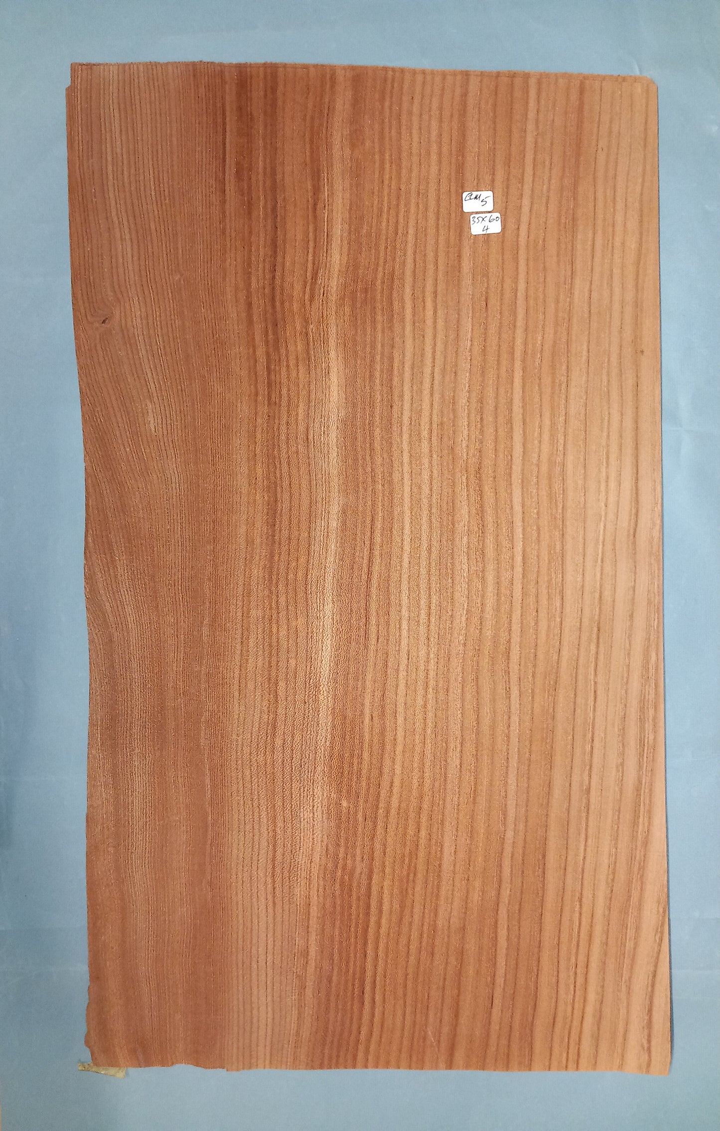 LARGE CONSECUTIVE SHEETS OF ELM VENEER 35 X 60 CM