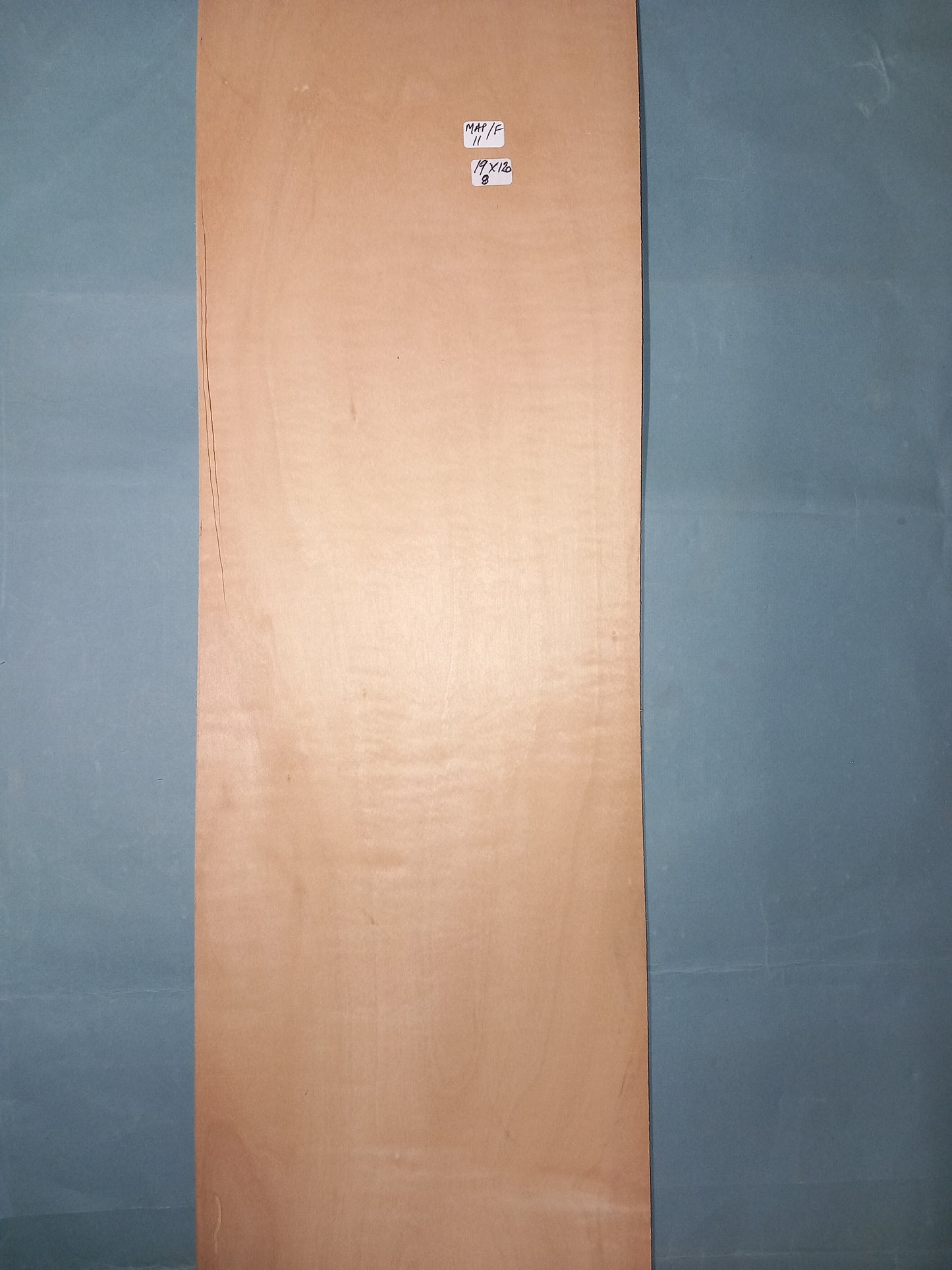 LARGE CONSECUTIVE SHEETS OF FIGURED MAPLE VENEER 19 X 120 CM