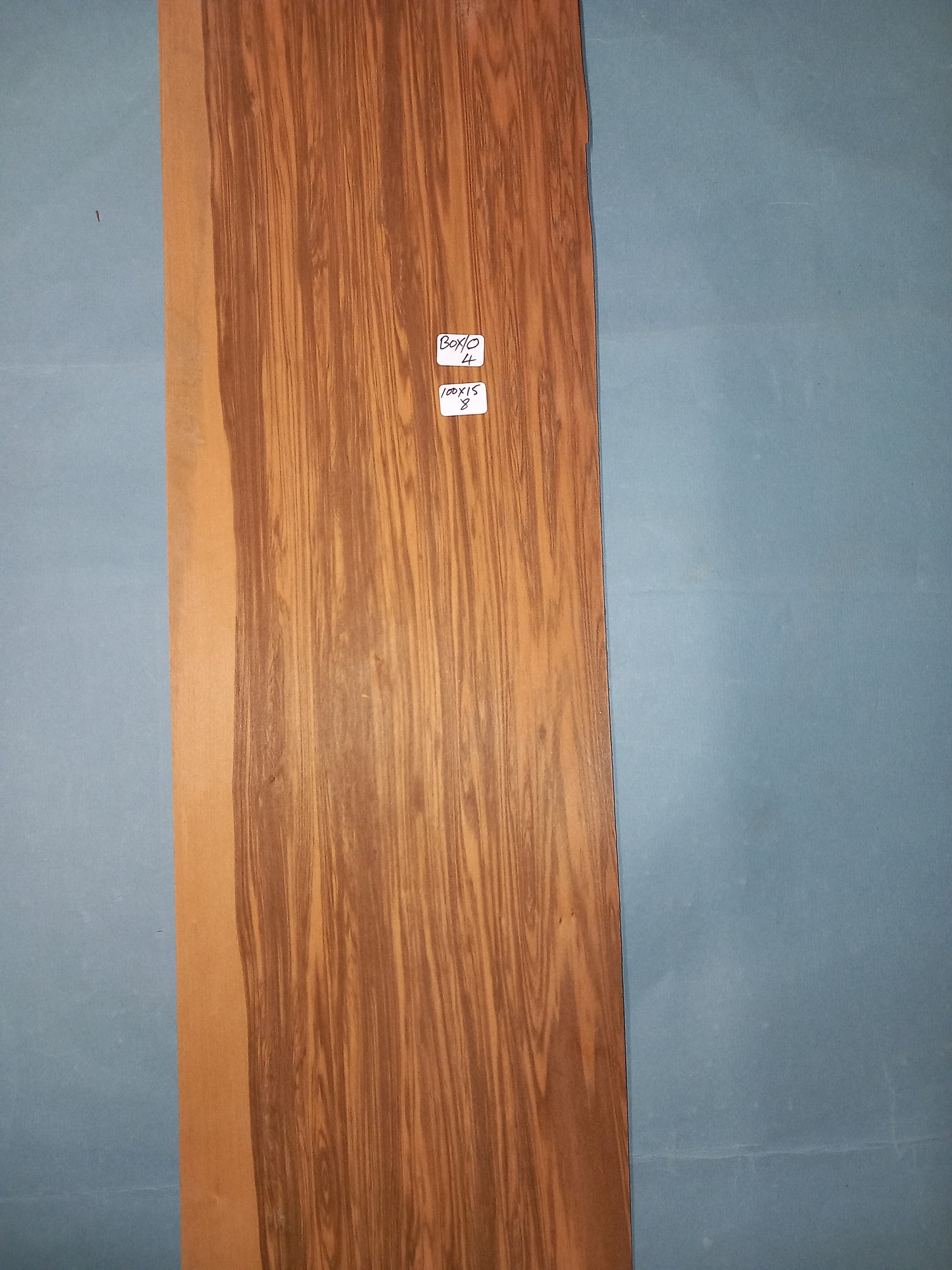 OLIVE BOX - 1 CONSECUTIVE SHEET 15x100cm