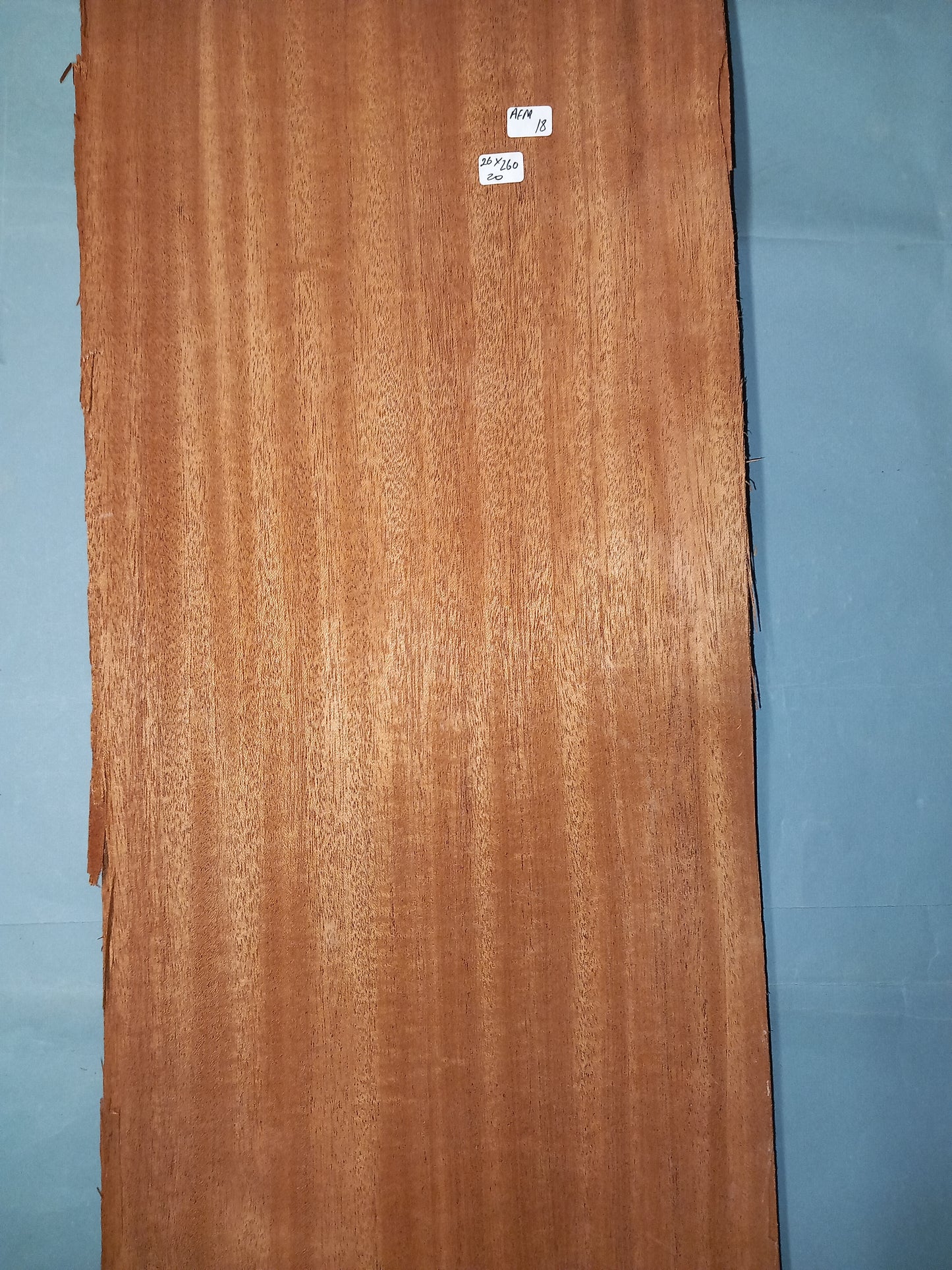 AFRICAN MAHOGANY - 1 LARGE CONSECUTIVE SHEETS 24x260cm