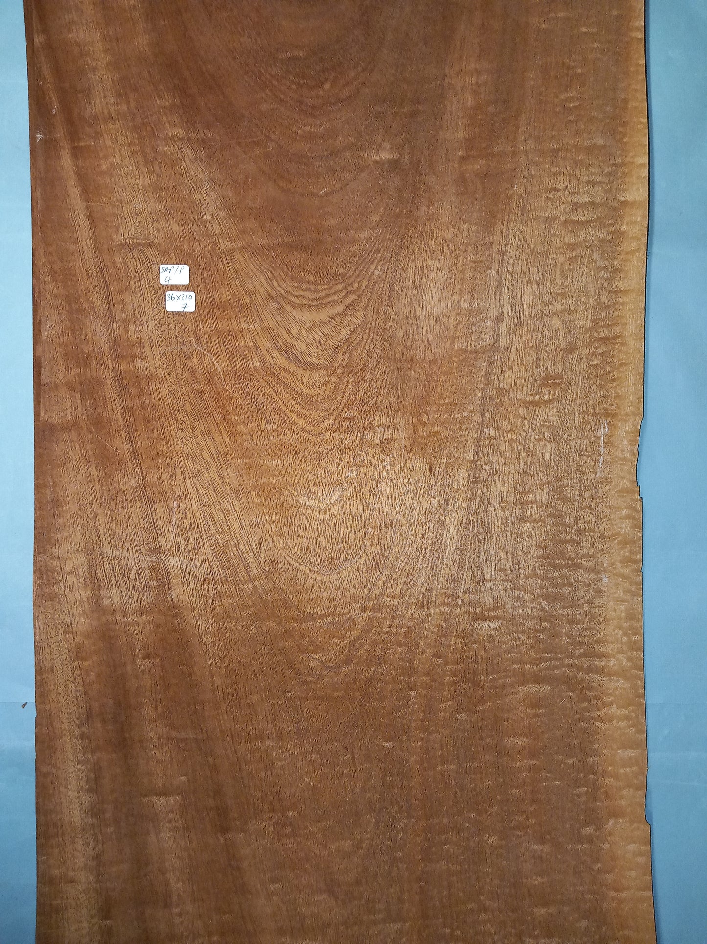 LARGE CONSECUTIVE SHEETS OF SAPELE POMELLE MAHOGANY VENEER 36 X 210 CM