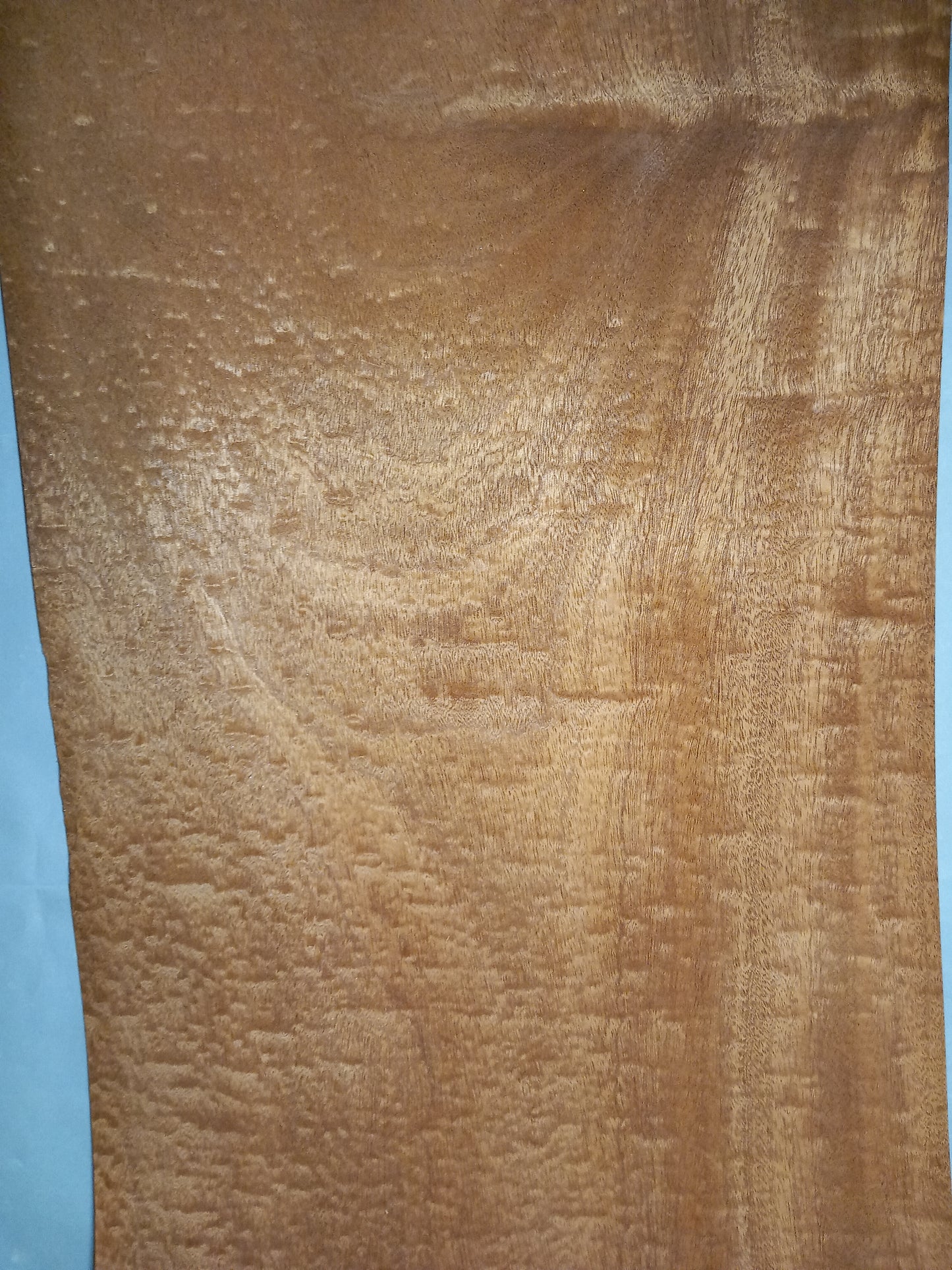 LARGE CONSECUTIVE SHEETS OF SAPELE POMELLE MAHOGANY VENEER 36 X 210 CM