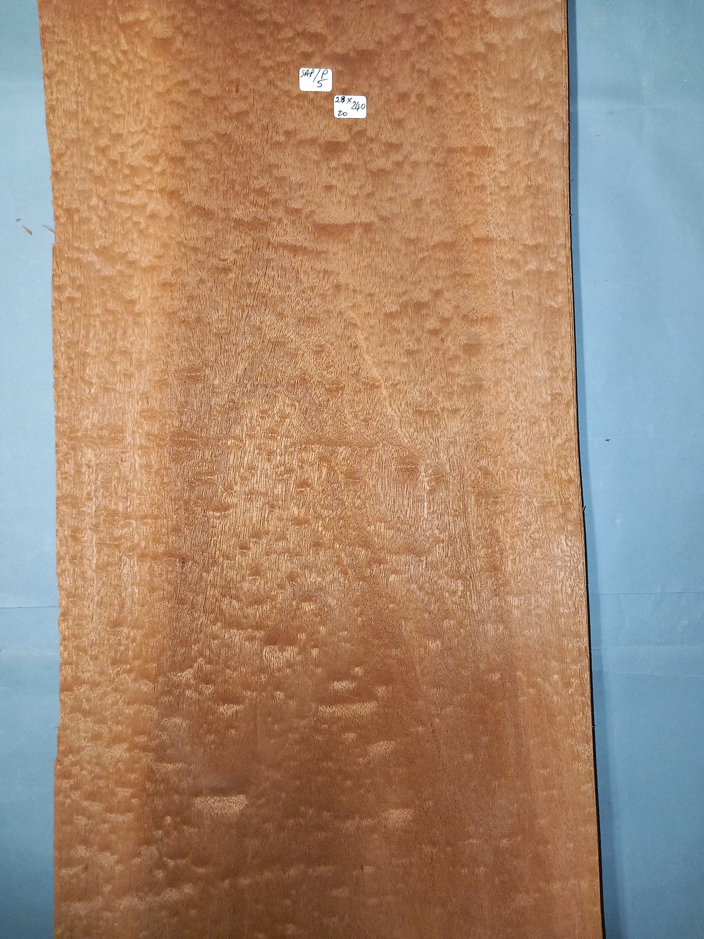 LARGE CONSECUTIVE SHEETS OF SAPELE POMELLE MAHOGANY VENEER 28 X 240 CM