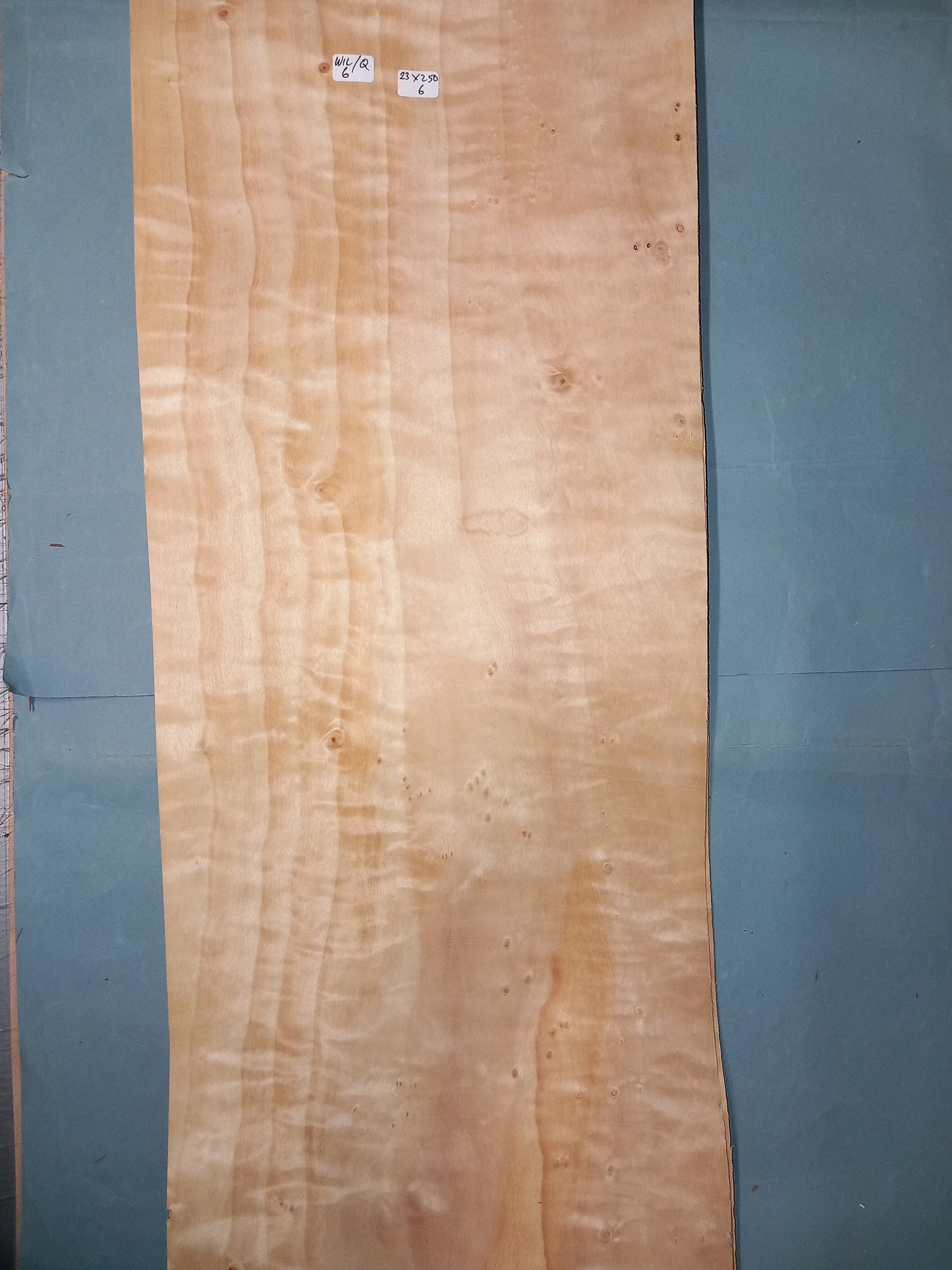 LARGE CONSECUTIVE SHEETS OF QUILTED WILLOW VENEER 23 X 250 CM