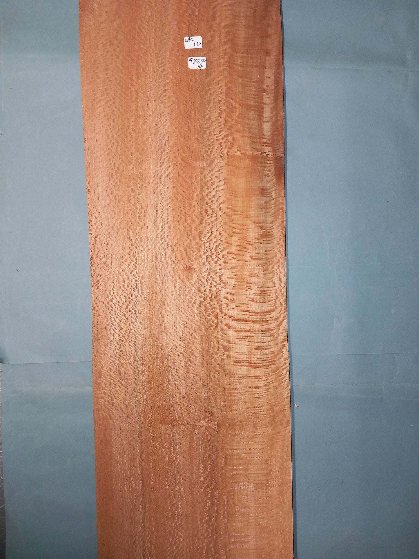 LACEWOOD - 1 LARGE CONSECUTIVE SHEET 19x250cm