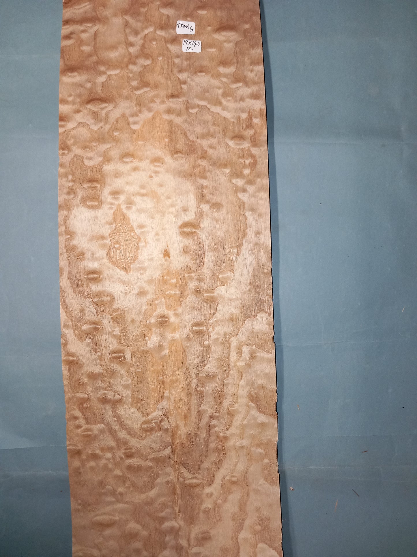 TAMO ASH - 1 CONSECUTIVE SHEET 19x140cm