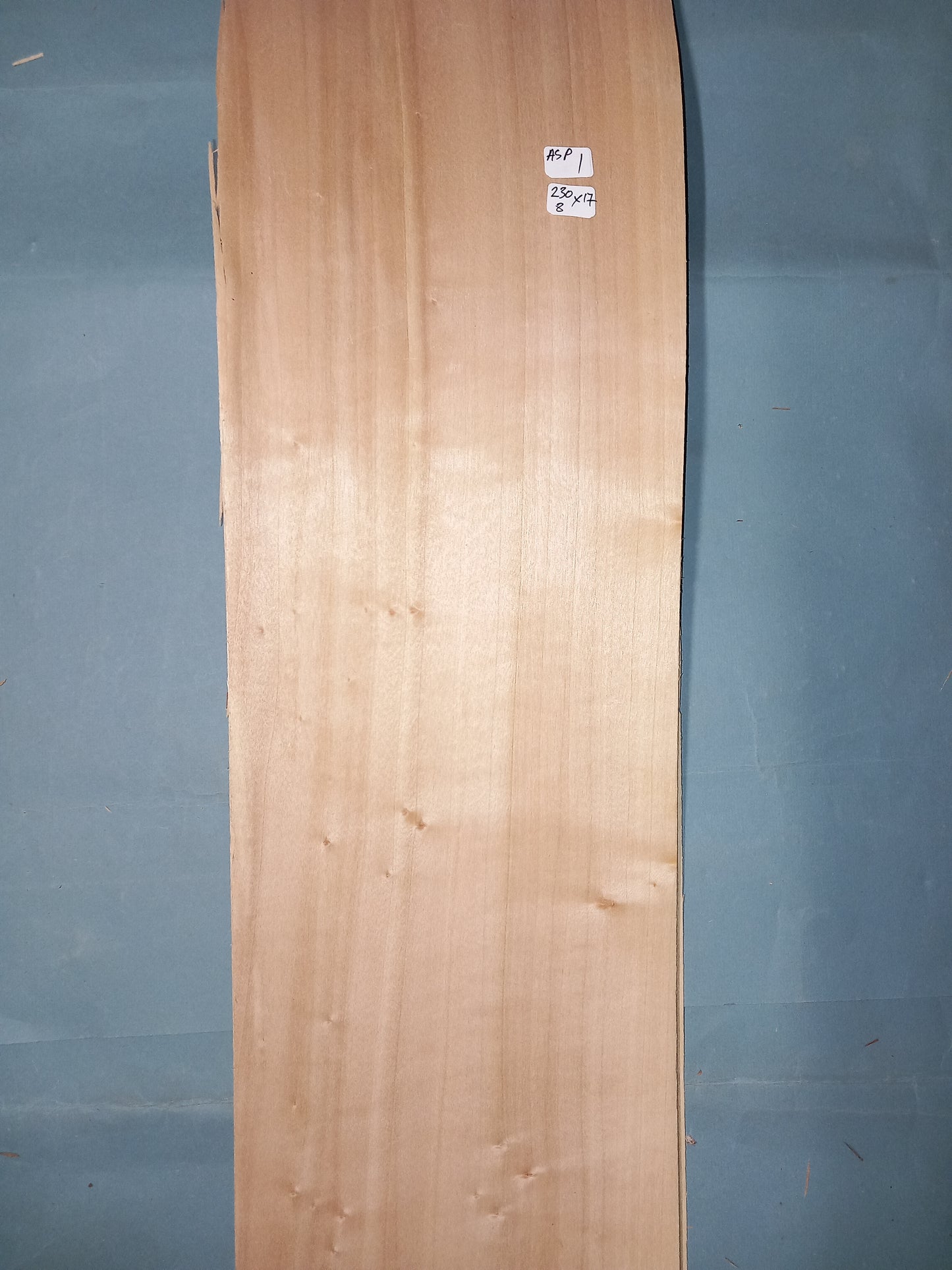 LARGE CONSECUTIVE SHEETS OF ASPEN VENEER 230 X 17 CM