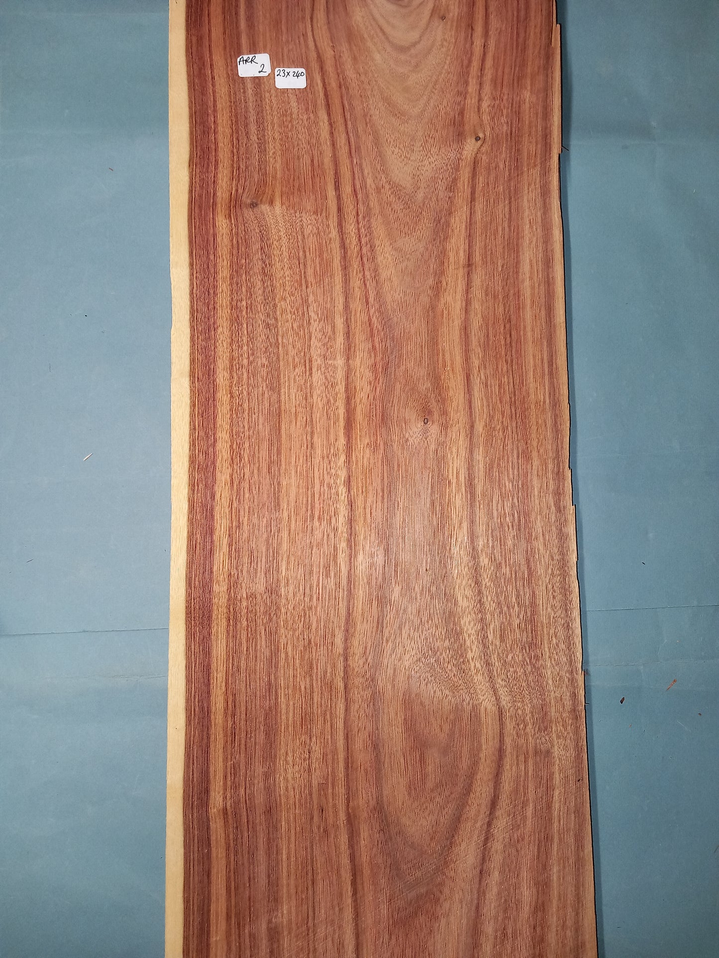 ARGENTINE ROSEWOOD - 1 LARGE CONSECUTIVE SHEET 23x240cm