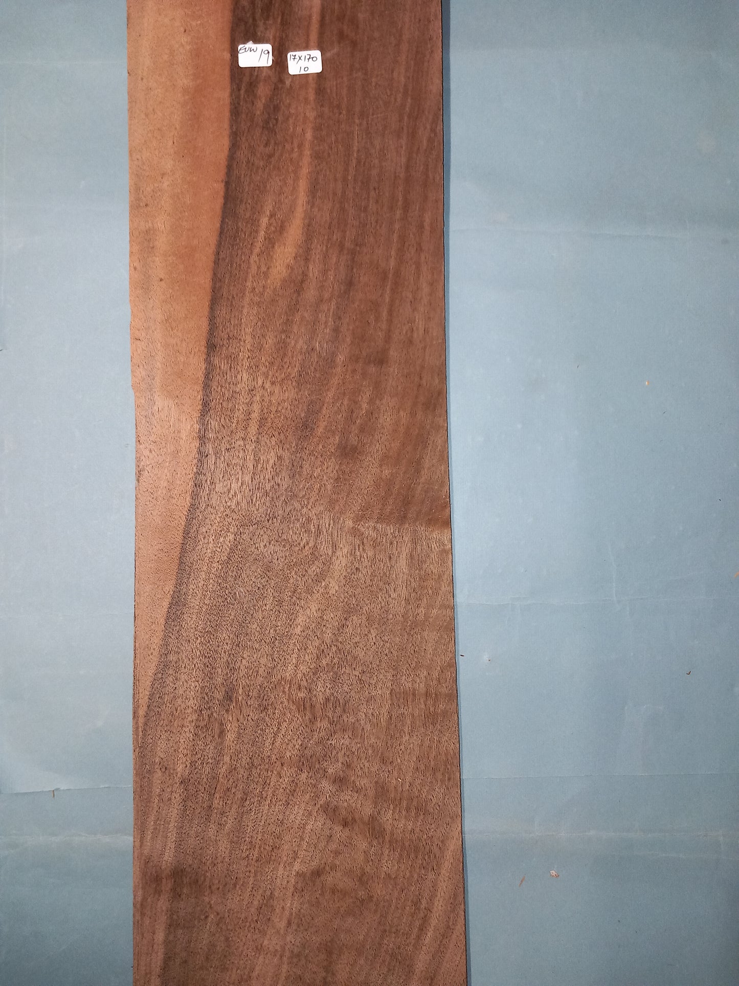 LARGE CONSECUTIVE SHEETS OF EUROPEAN WALNUT VENEER 17 X 170 CM