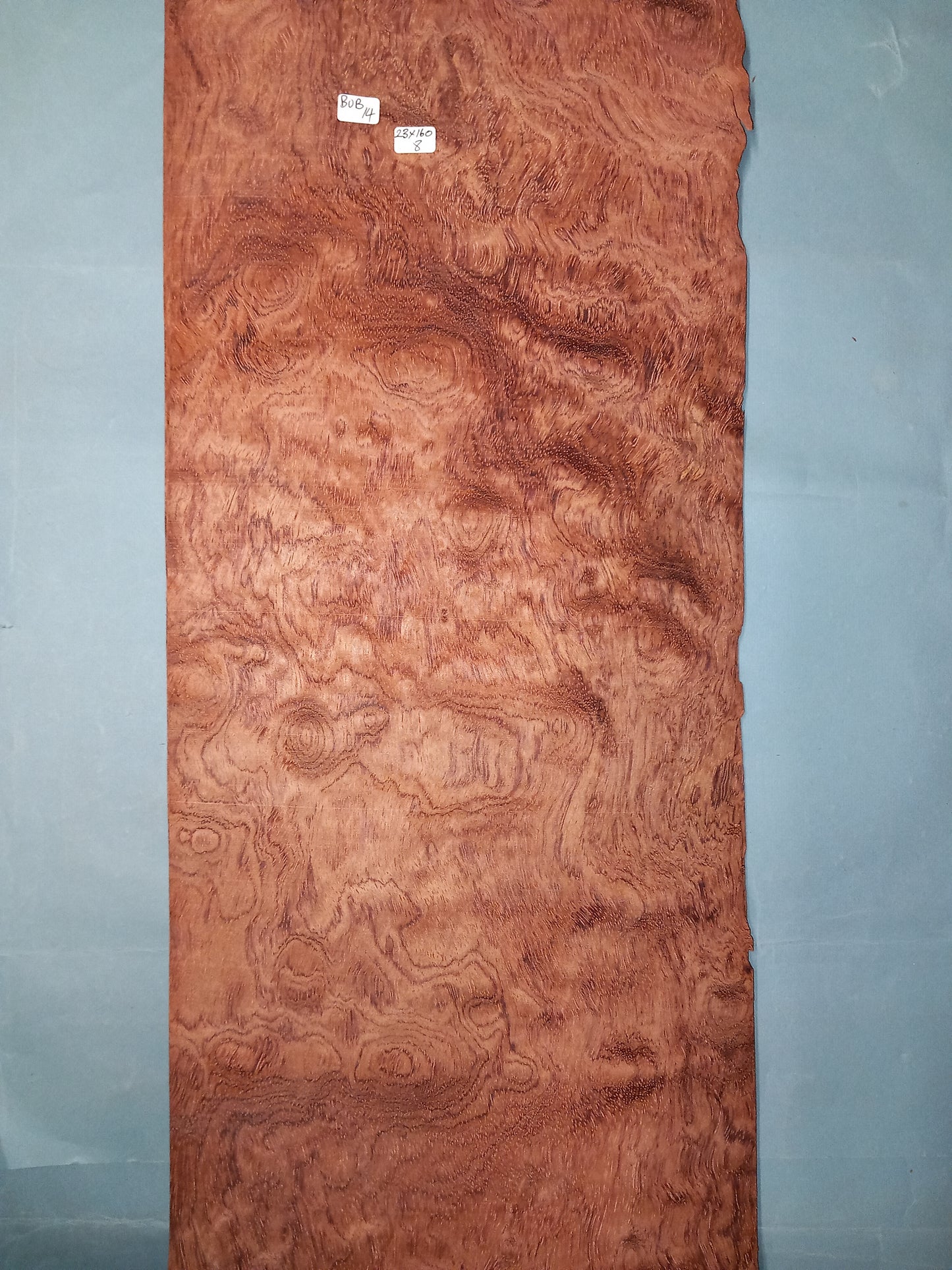 LARGE CONSECUTIVE SHEETS OF BUBINGA VENEER 23 X 160 CM