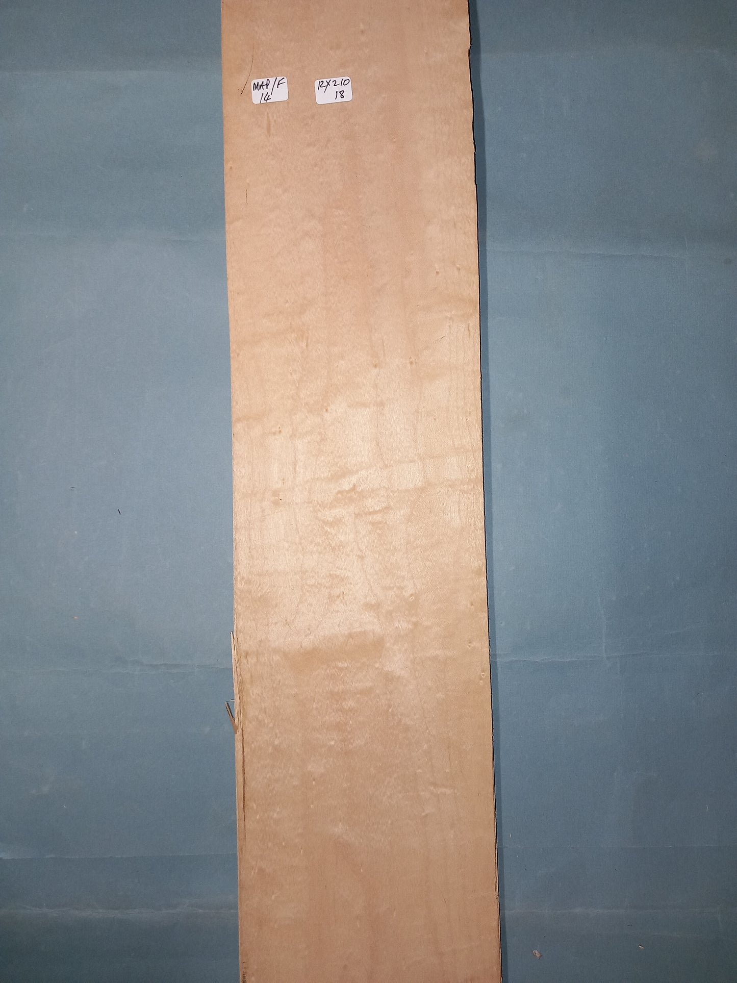 LARGE CONSECUTIVE SHEETS OF FIGURED MAPLE VENEER 12 X 210 CM