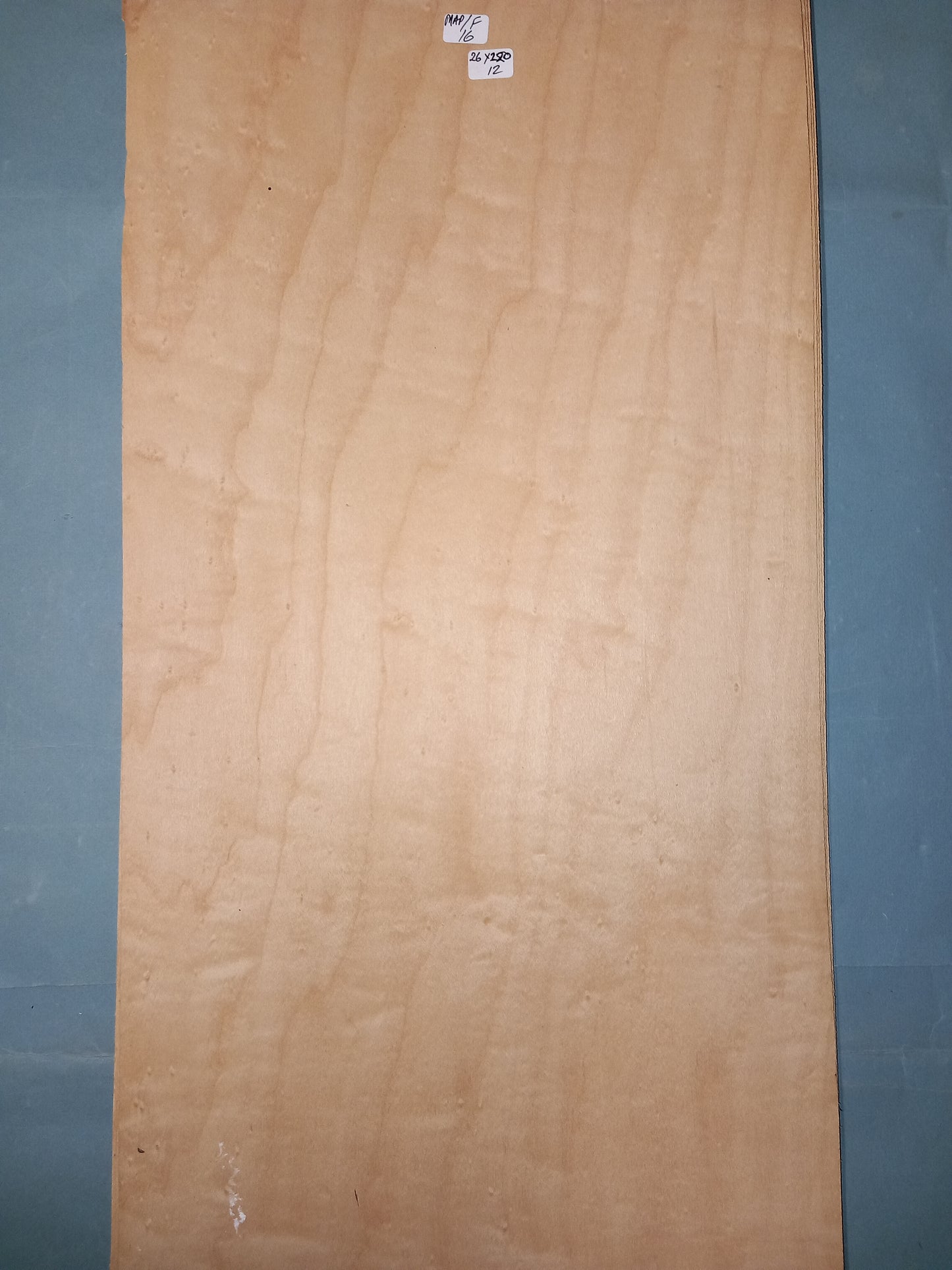LARGE CONSECUTIVE SHEETS OF FIGURED MAPLE VENEER 26 X 220 CM
