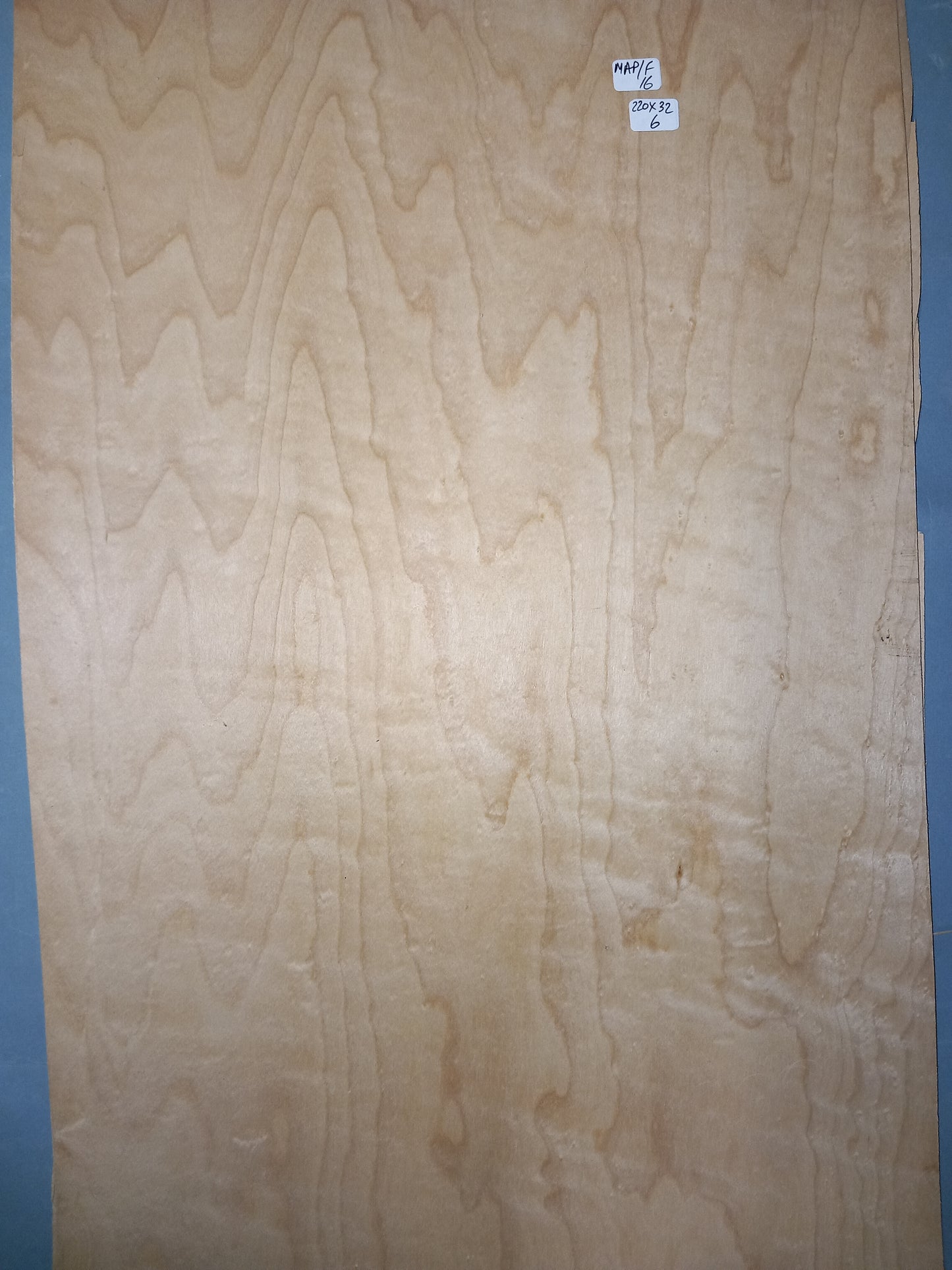 LARGE CONSECUTIVE SHEETS OF FIGURED MAPLE VENEER 220 X 26 CM