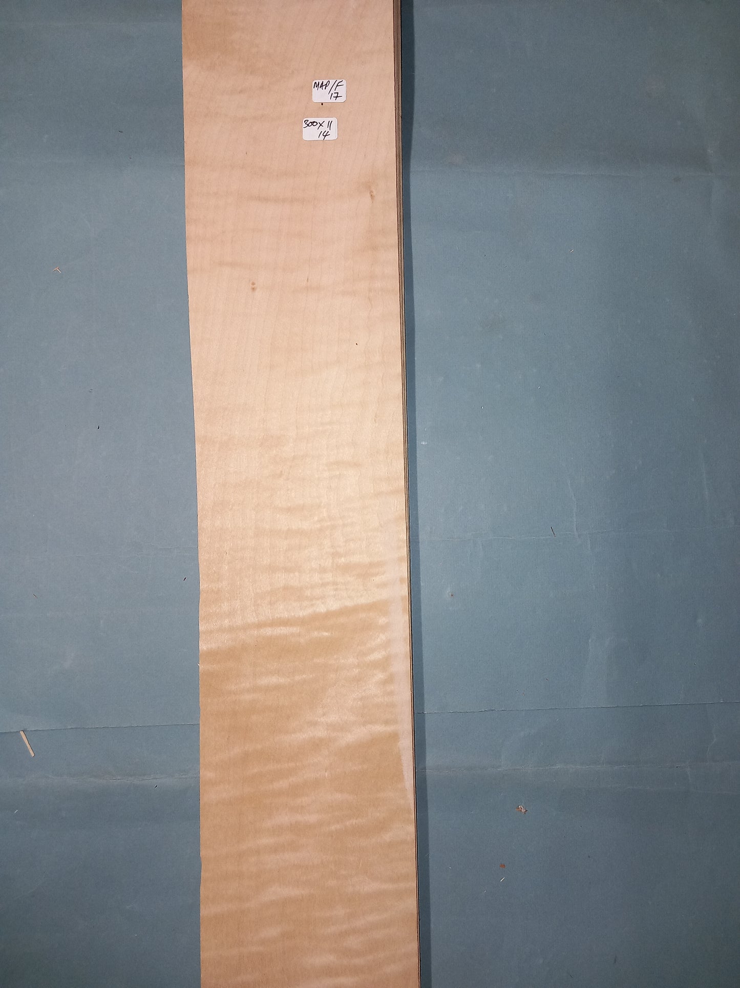 LARGE CONSECUTIVE SHEETS OF FIGURED MAPLE VENEER 300 X 11 CM