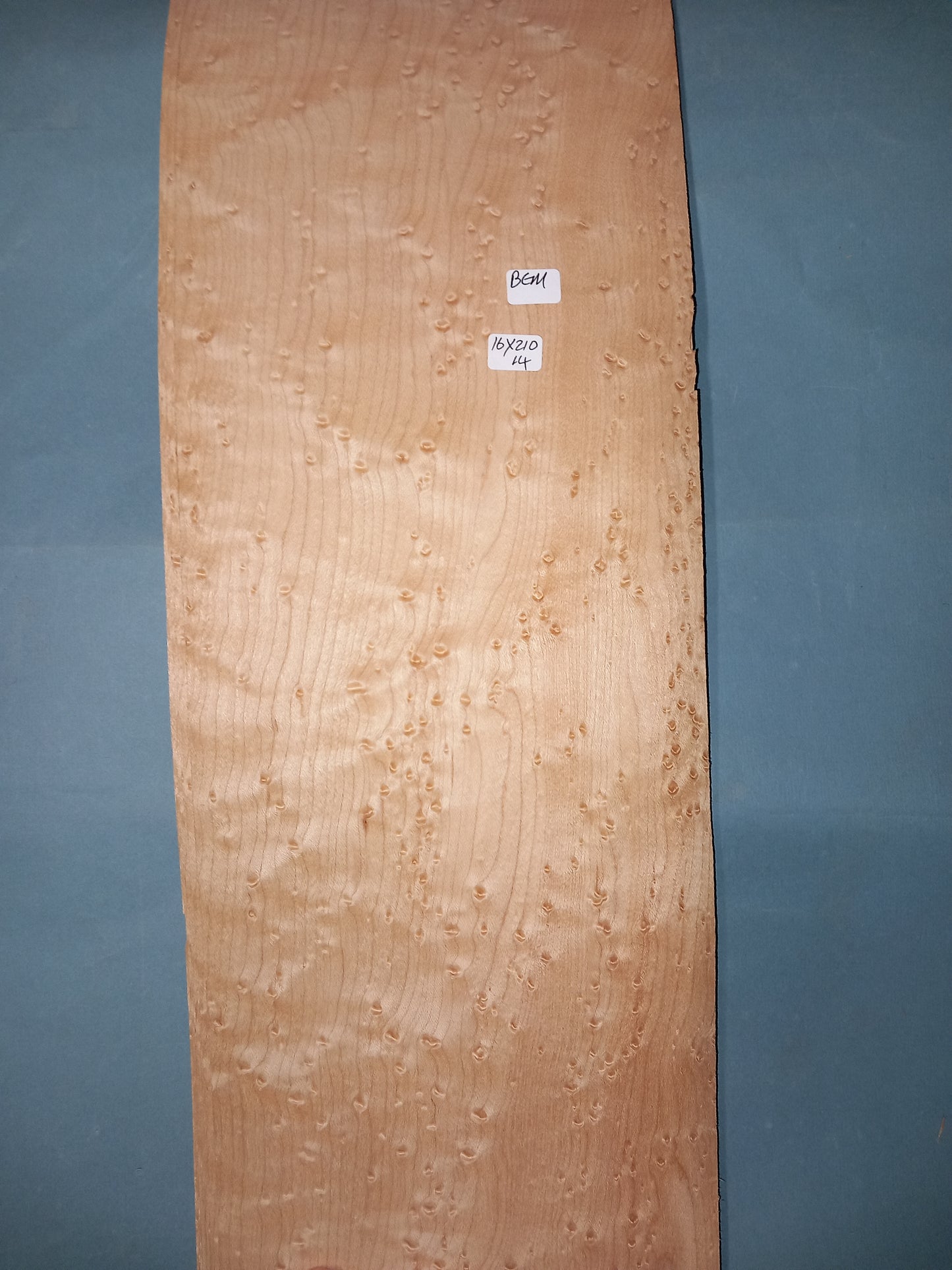 BIRDS EYE MAPLE - 1 LARGE CONSECUTIVE SHEET 16x210cm