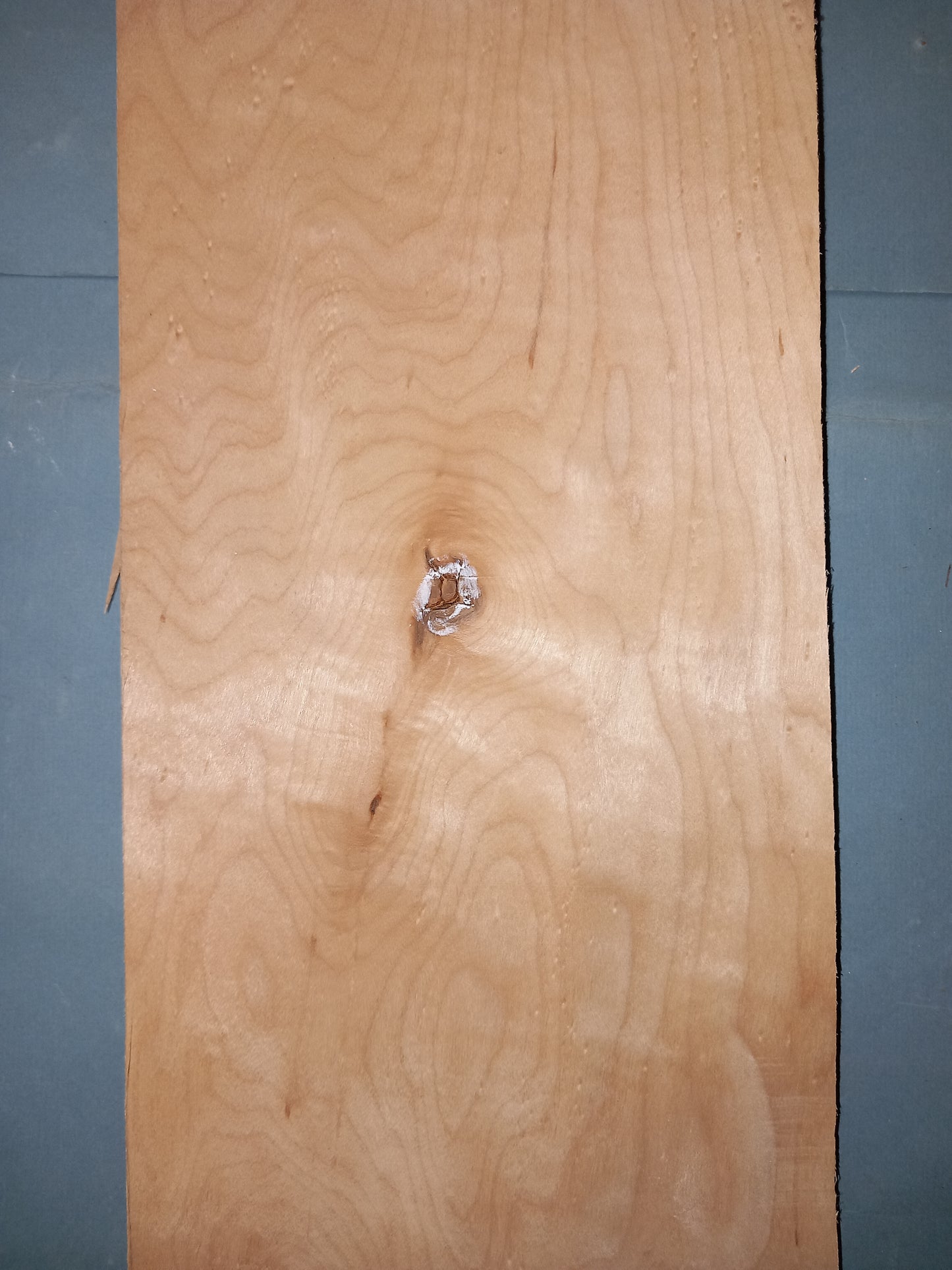 LARGE CONSECUTIVE SHEETS OF BIRDS EYE MAPLE VENEER 15 X 190 CM