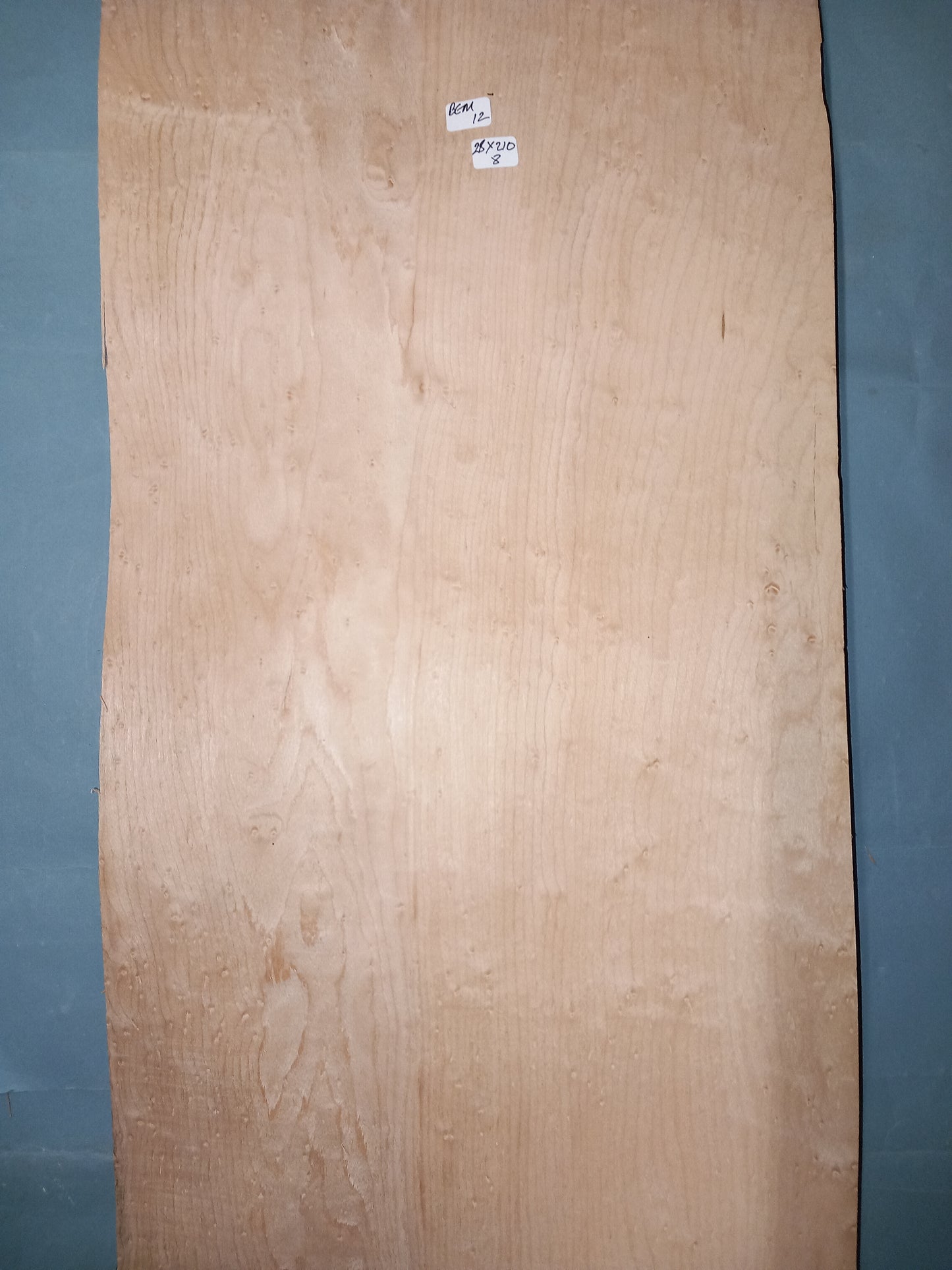 LARGE CONSECUTIVE SHEETS OF BIRDS EYE MAPLE VENEER 28 X 210 CM