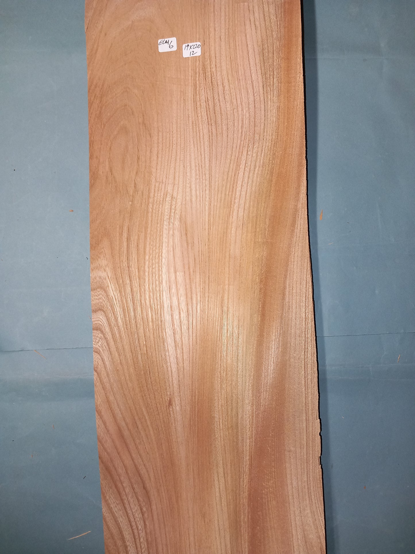 LAARGE CONSECUTIVE SHEETS OF ELM VENEER 19 X 220 CM