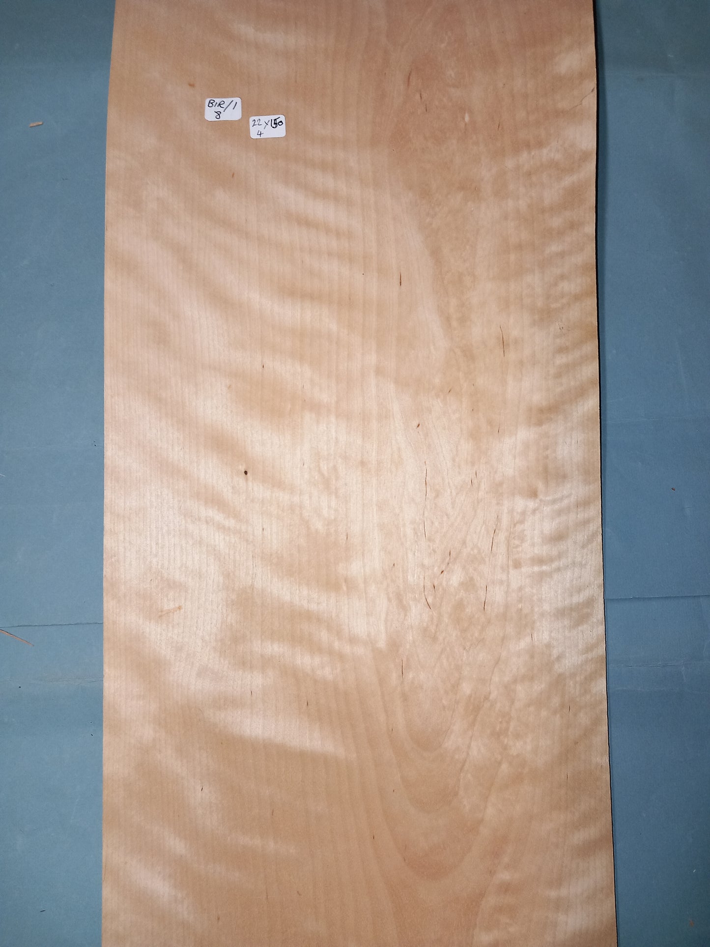 LARGE CONSECUTIVE SHEETS OF ICED BIRCH VENEER 22 X 150 CM