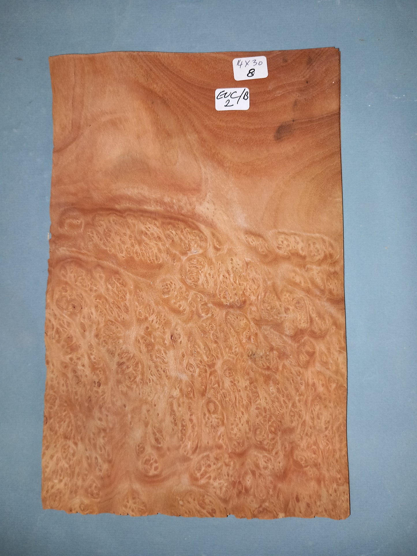 CONSECUTIVE SHEETS OF EUCALYPTUS BURR VENEER 14 X 30 CM