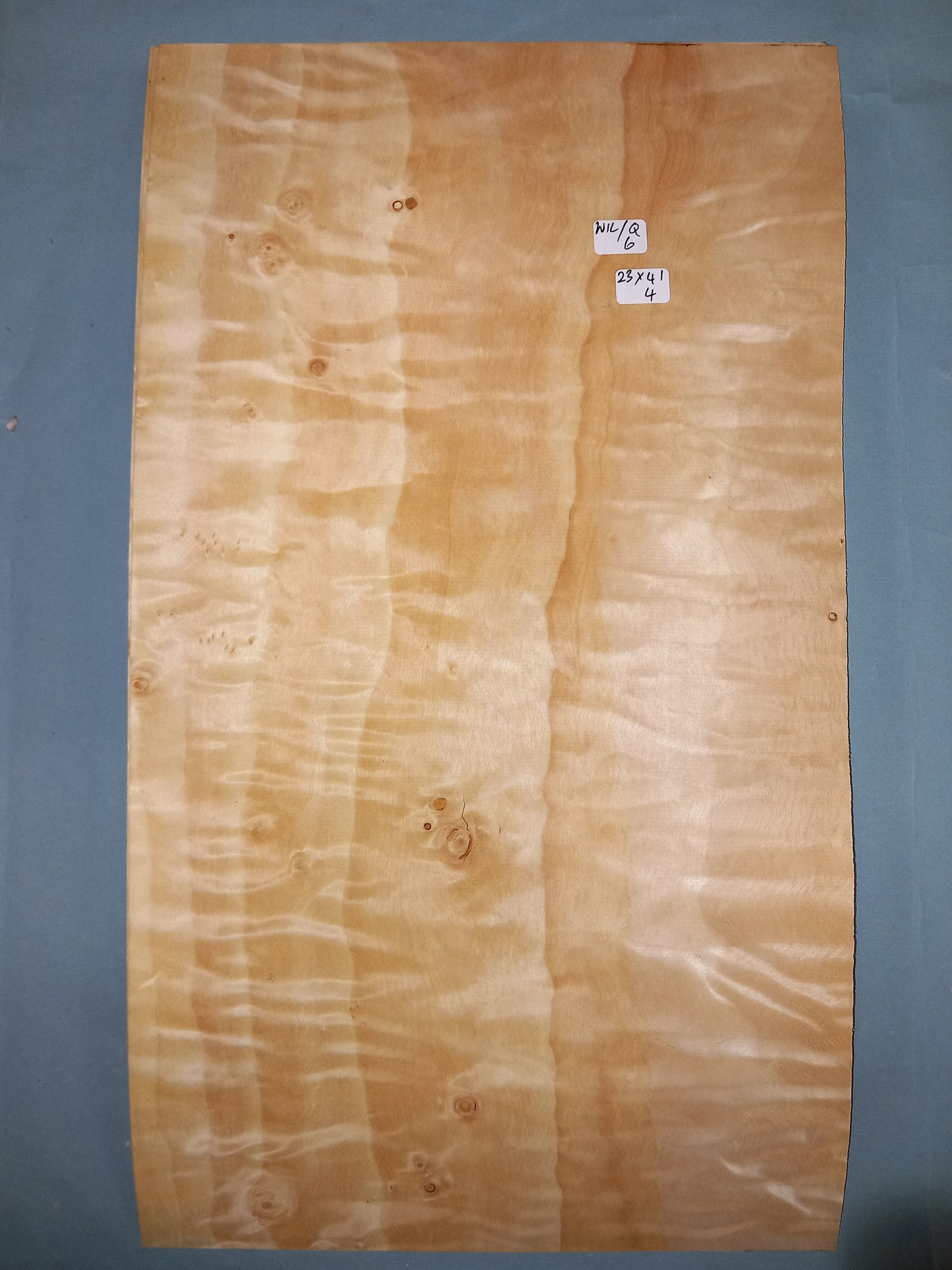 CONSECUTIVE SHEETS OF QUILTED WILLOW VENEER 23 X 42 CM