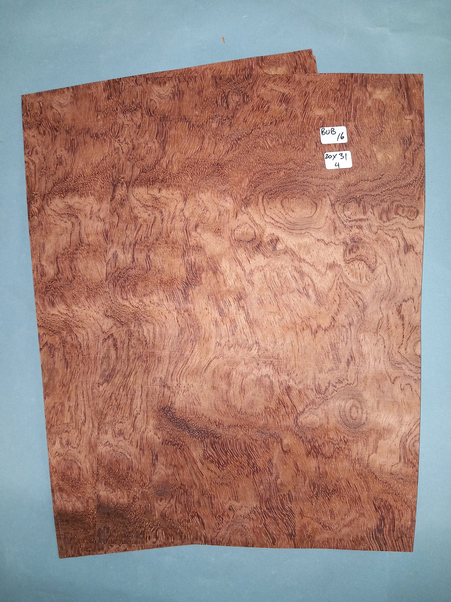 BUBINGA - 2 CONSECUTIVE SHEETS 20x31cm