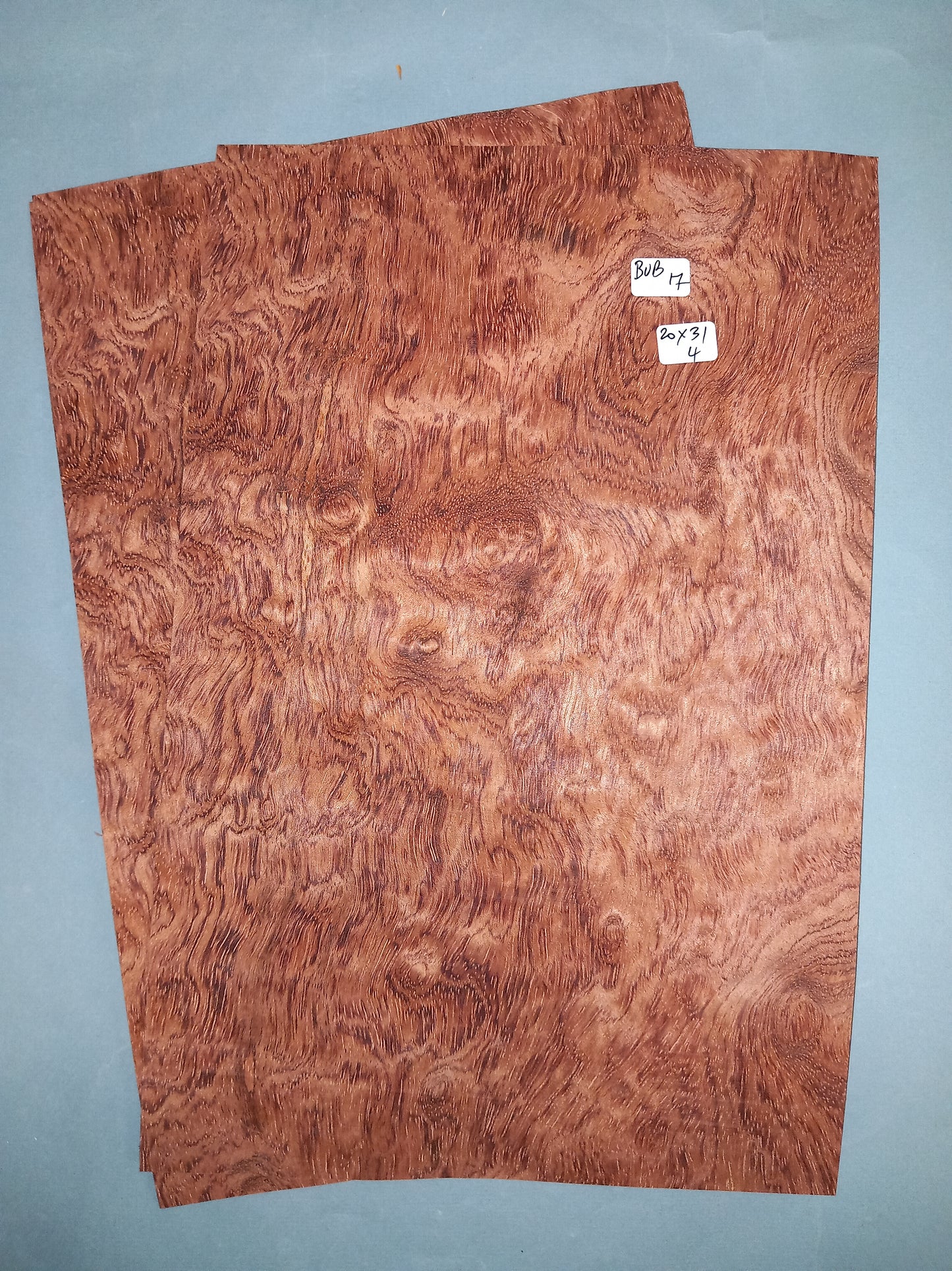 BUBINGA - 2 CONSECUTIVE SHEETS 20x31cm