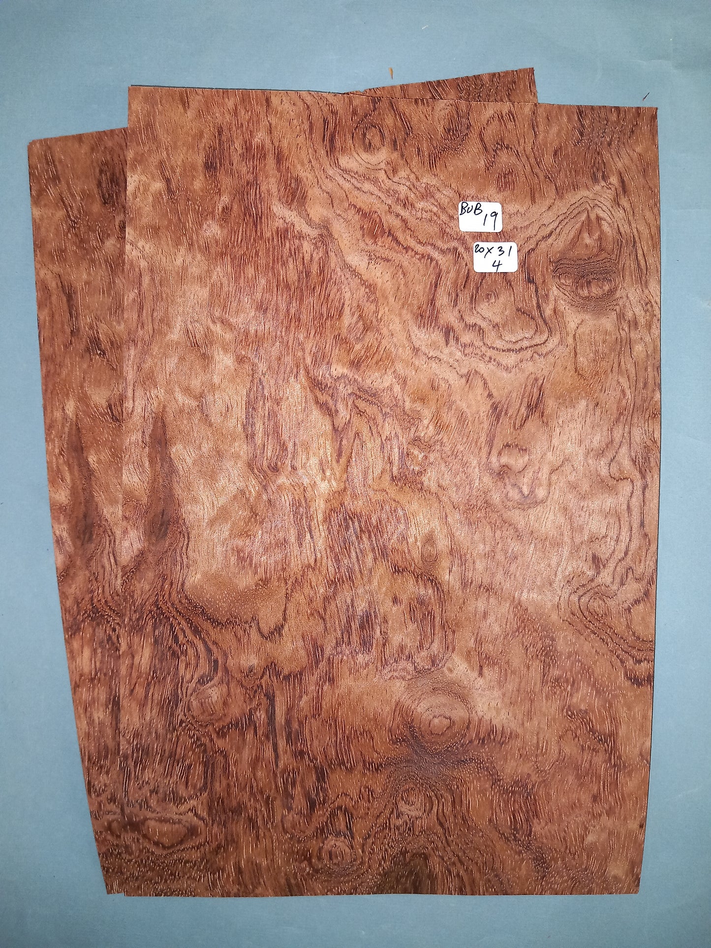 BUBINGA - 2 CONSECUTIVE SHEETS 20x31cm