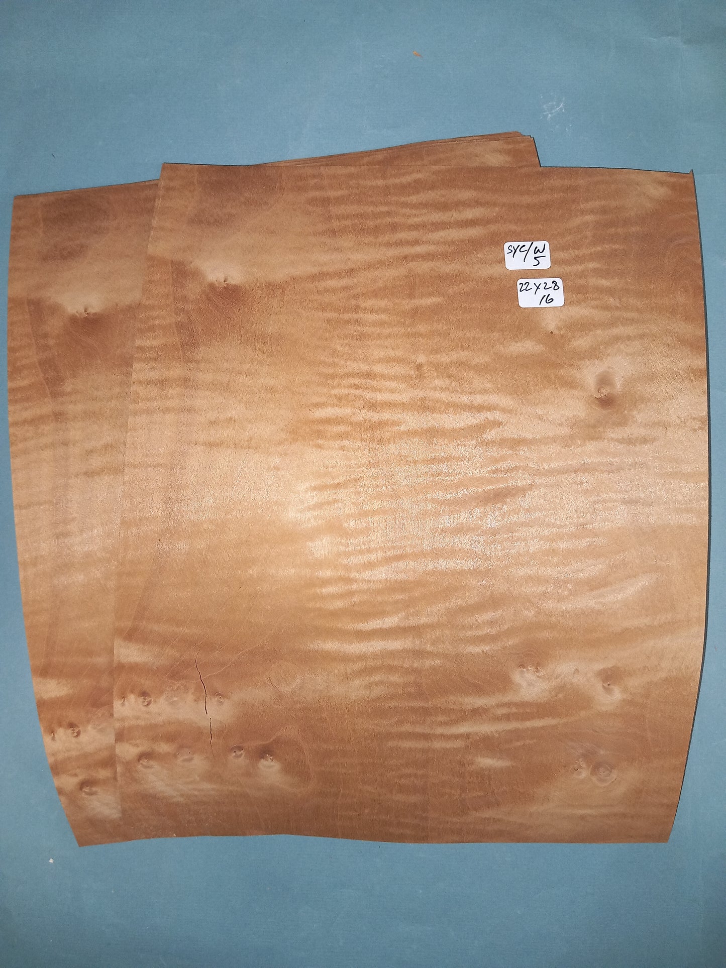 SYCAMORE WEATHERED - 2 CONSECUTIVE SHEETS 22x28cm