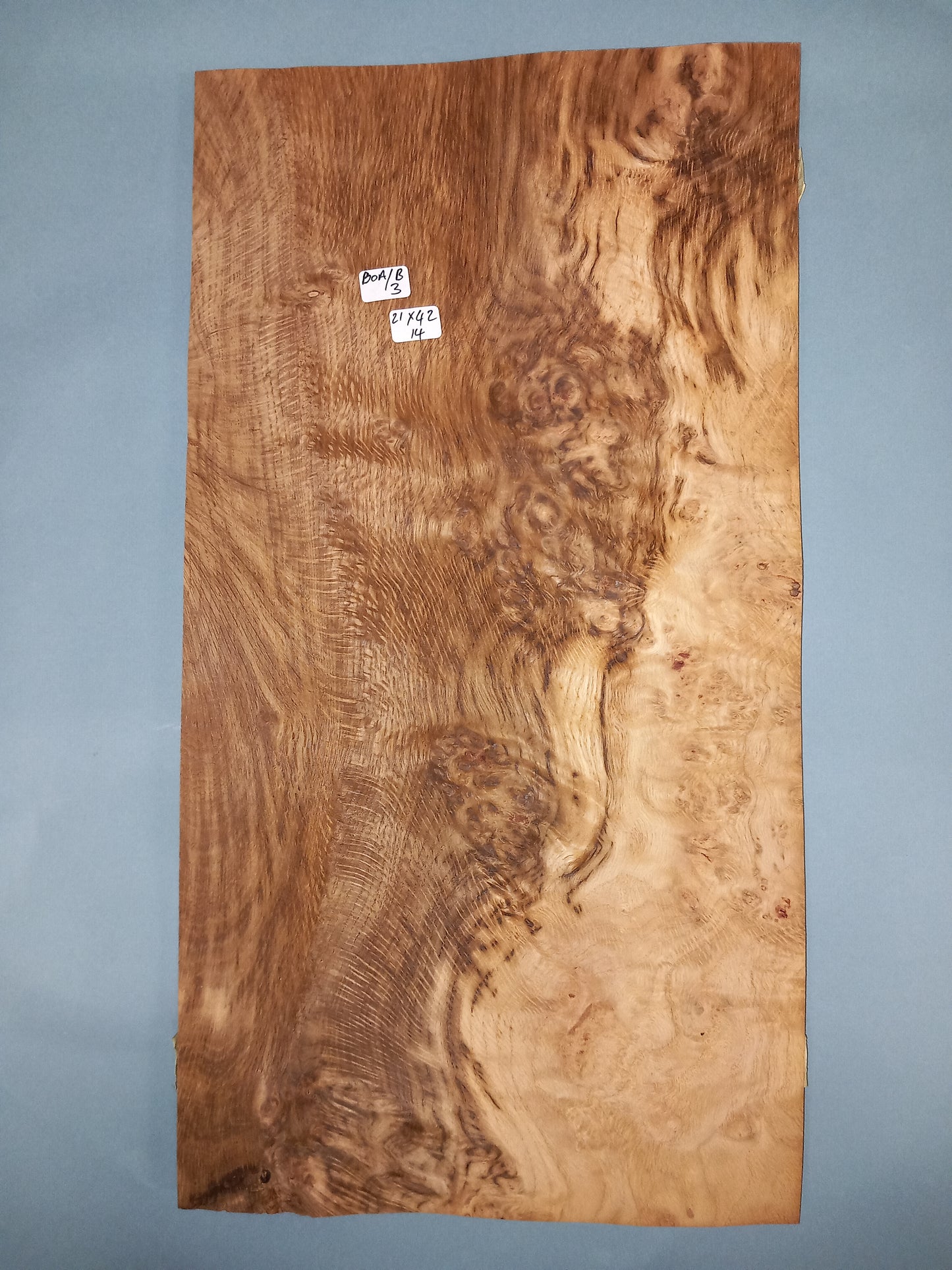CONSECUTIVE SHEETS OF BROWN OAK BURR VENEER 21 X 42 CM